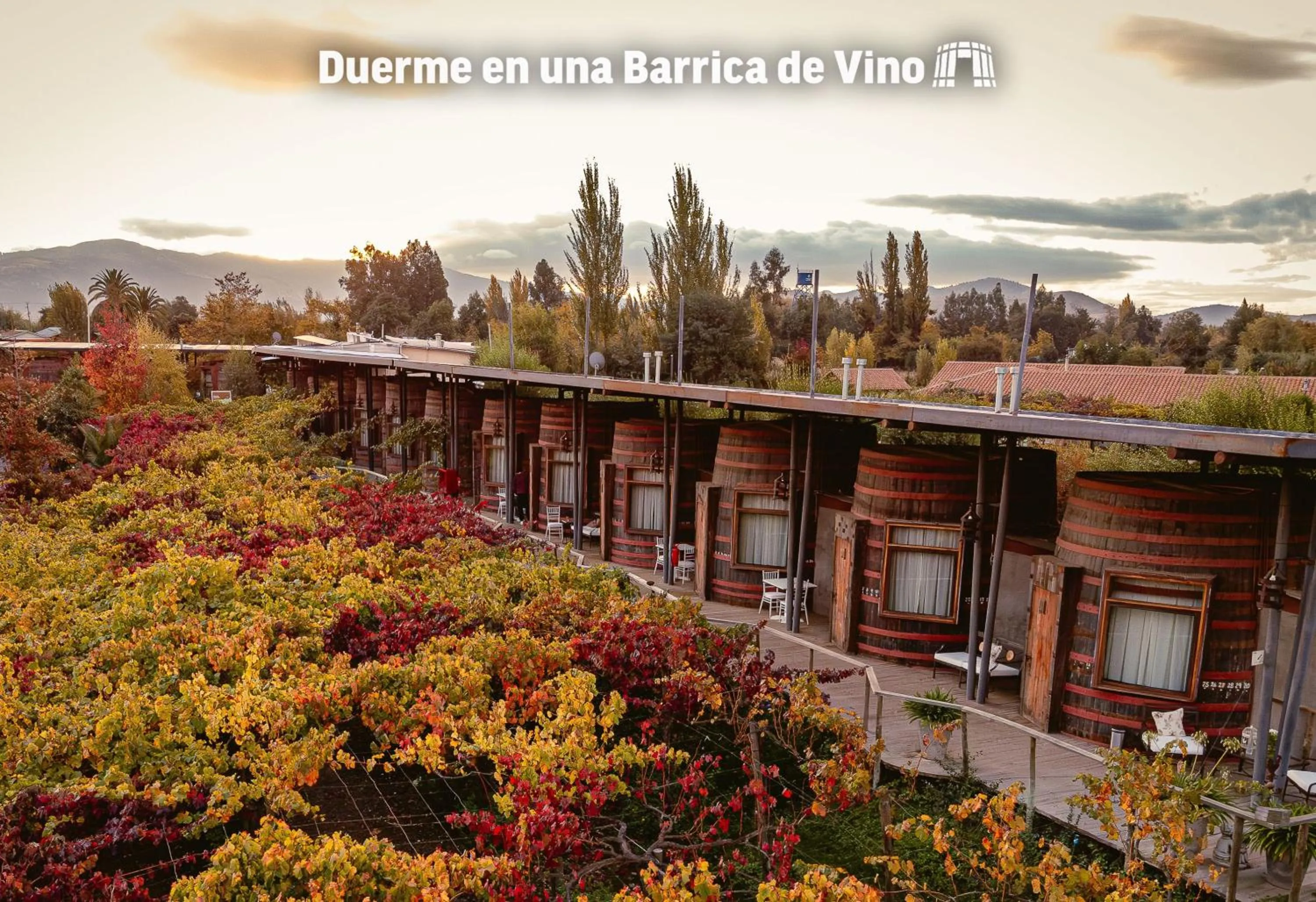 Natural landscape in Cava Colchagua Hotel Boutique