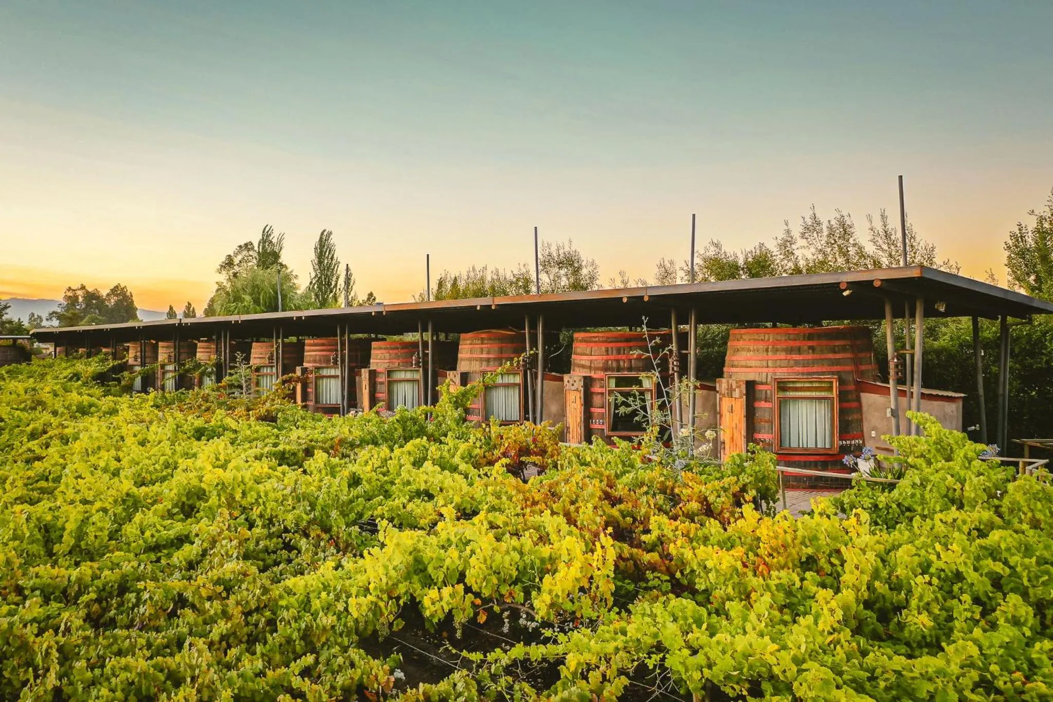 Spring in Cava Colchagua Hotel Boutique