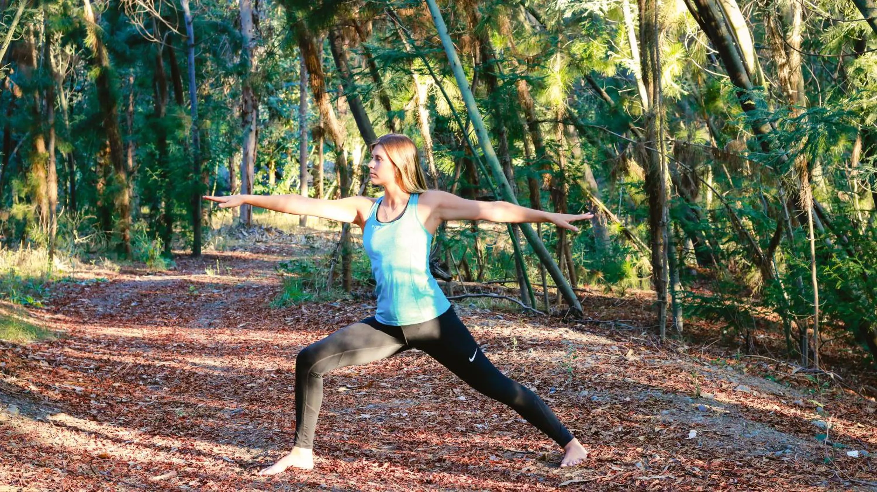 Activities in Cava Colchagua Hotel Boutique