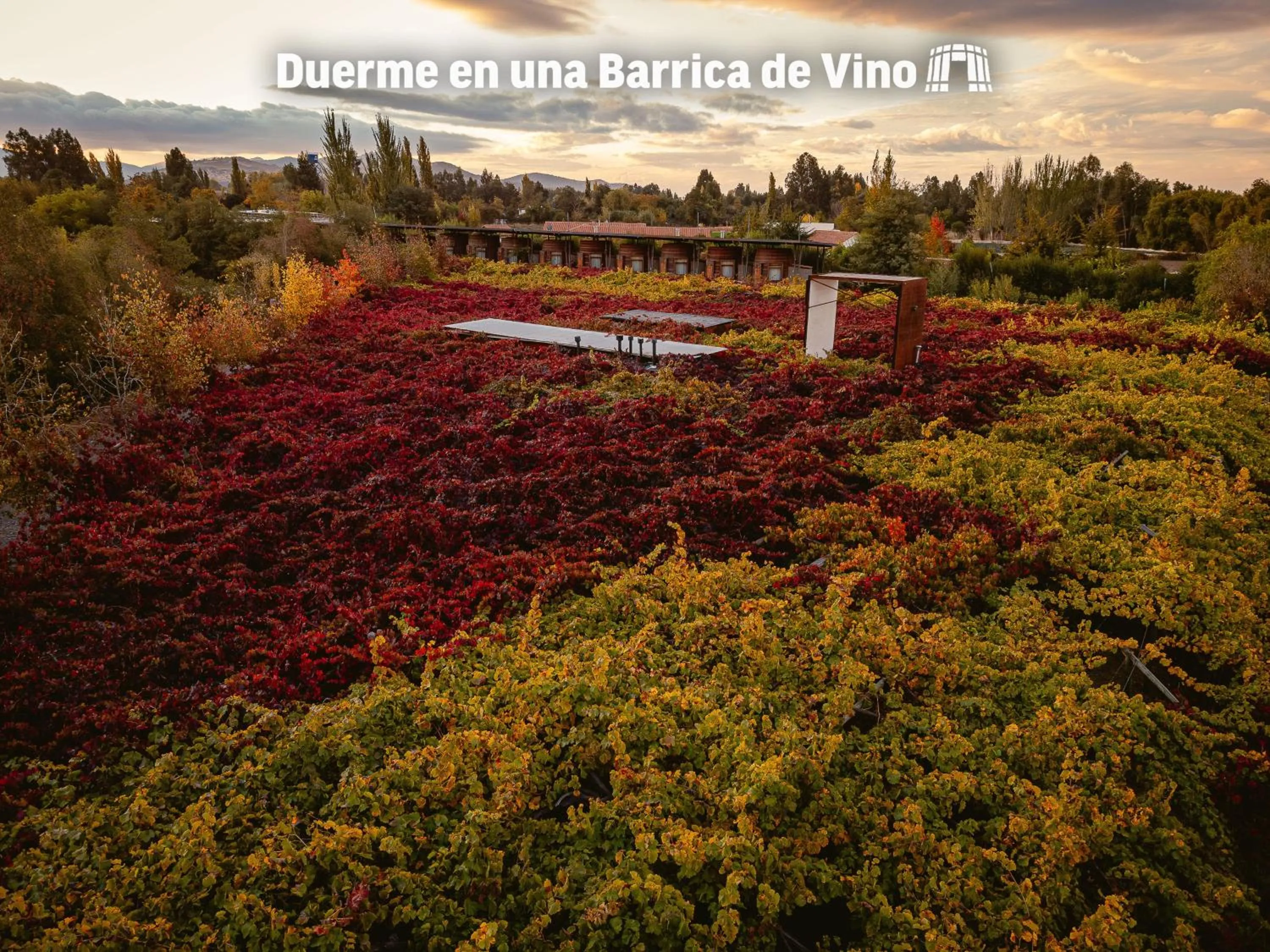 Natural landscape in Cava Colchagua Hotel Boutique