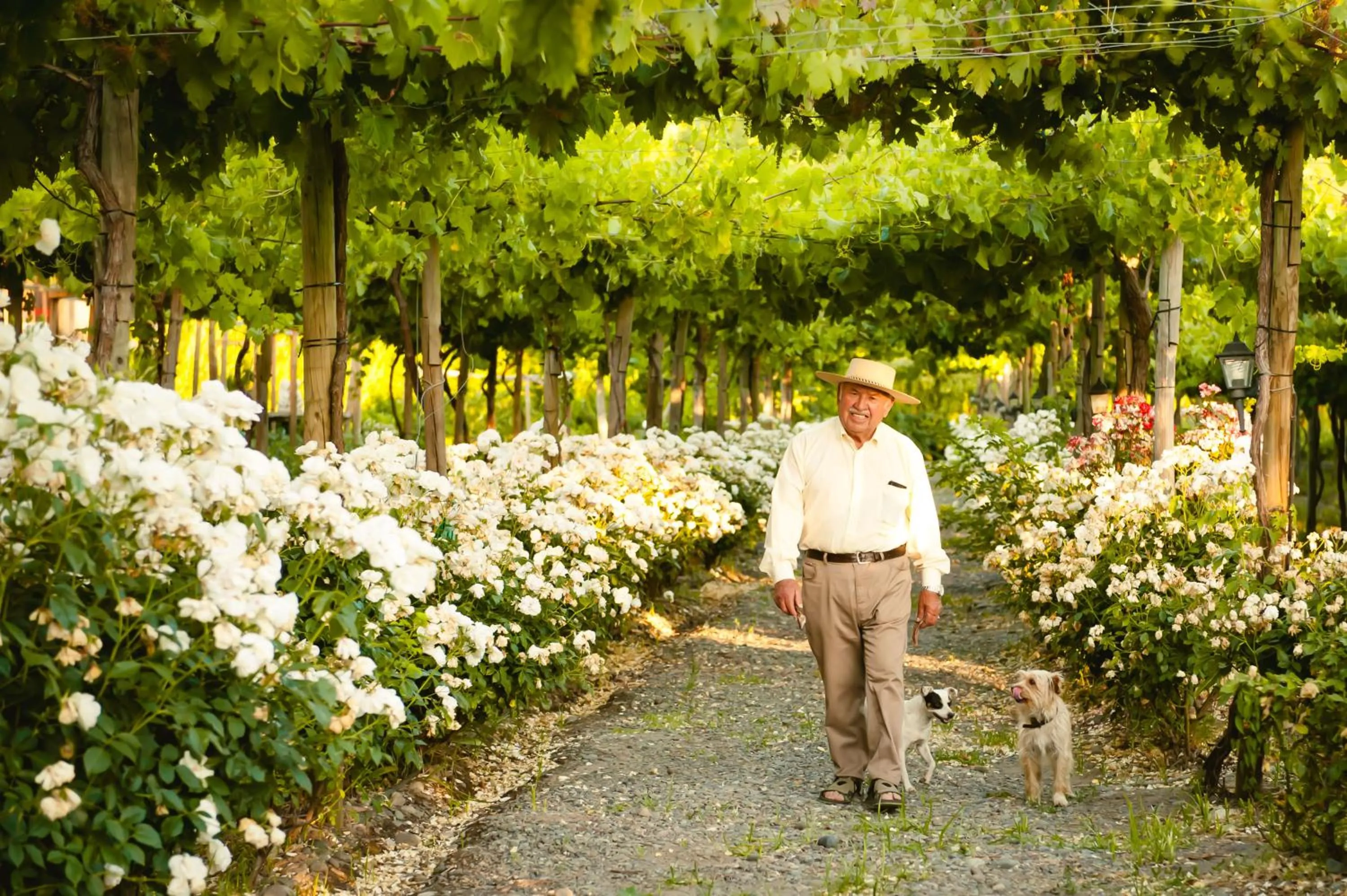 Natural landscape in Cava Colchagua Hotel Boutique