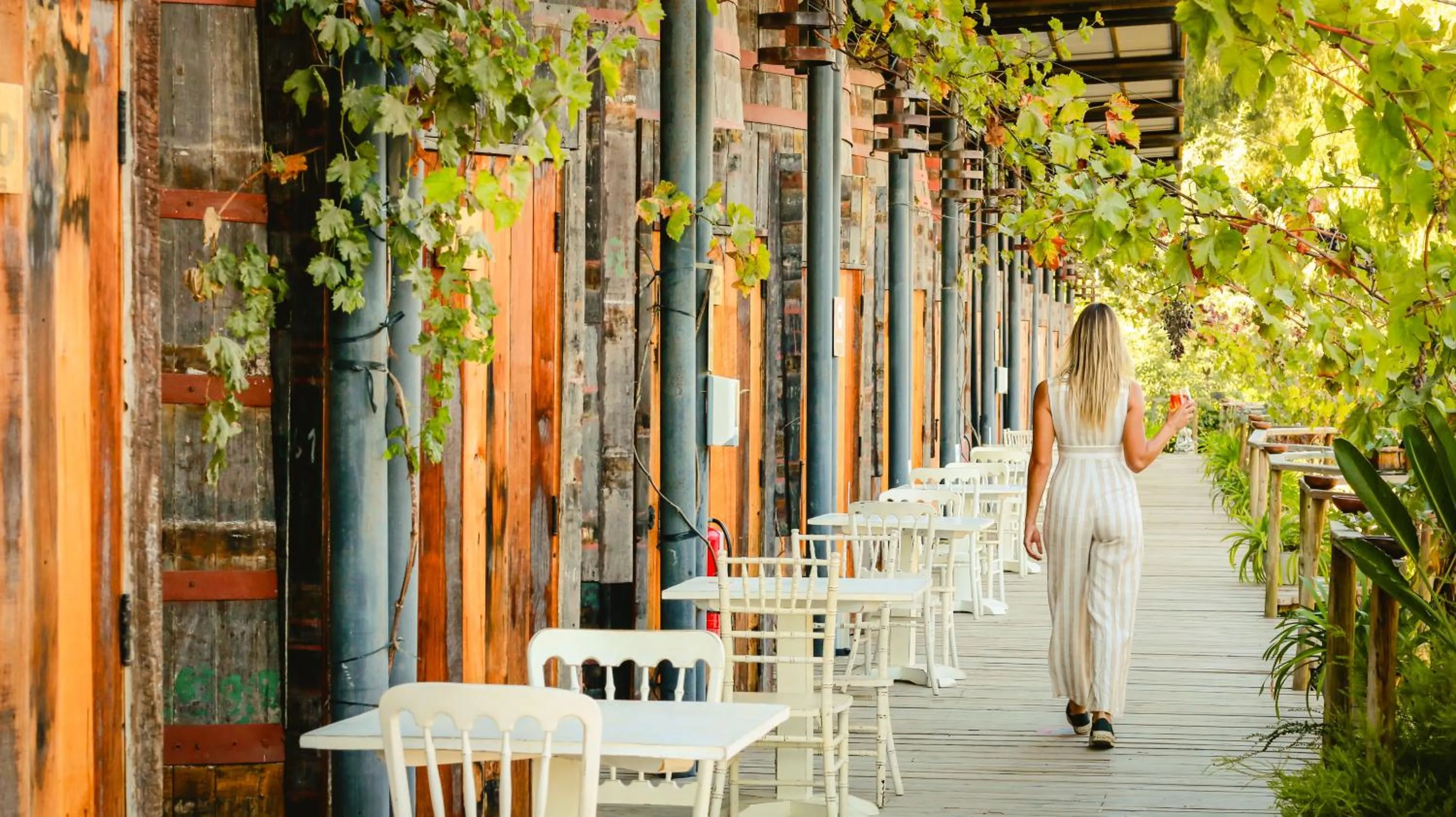 Day in Cava Colchagua Hotel Boutique