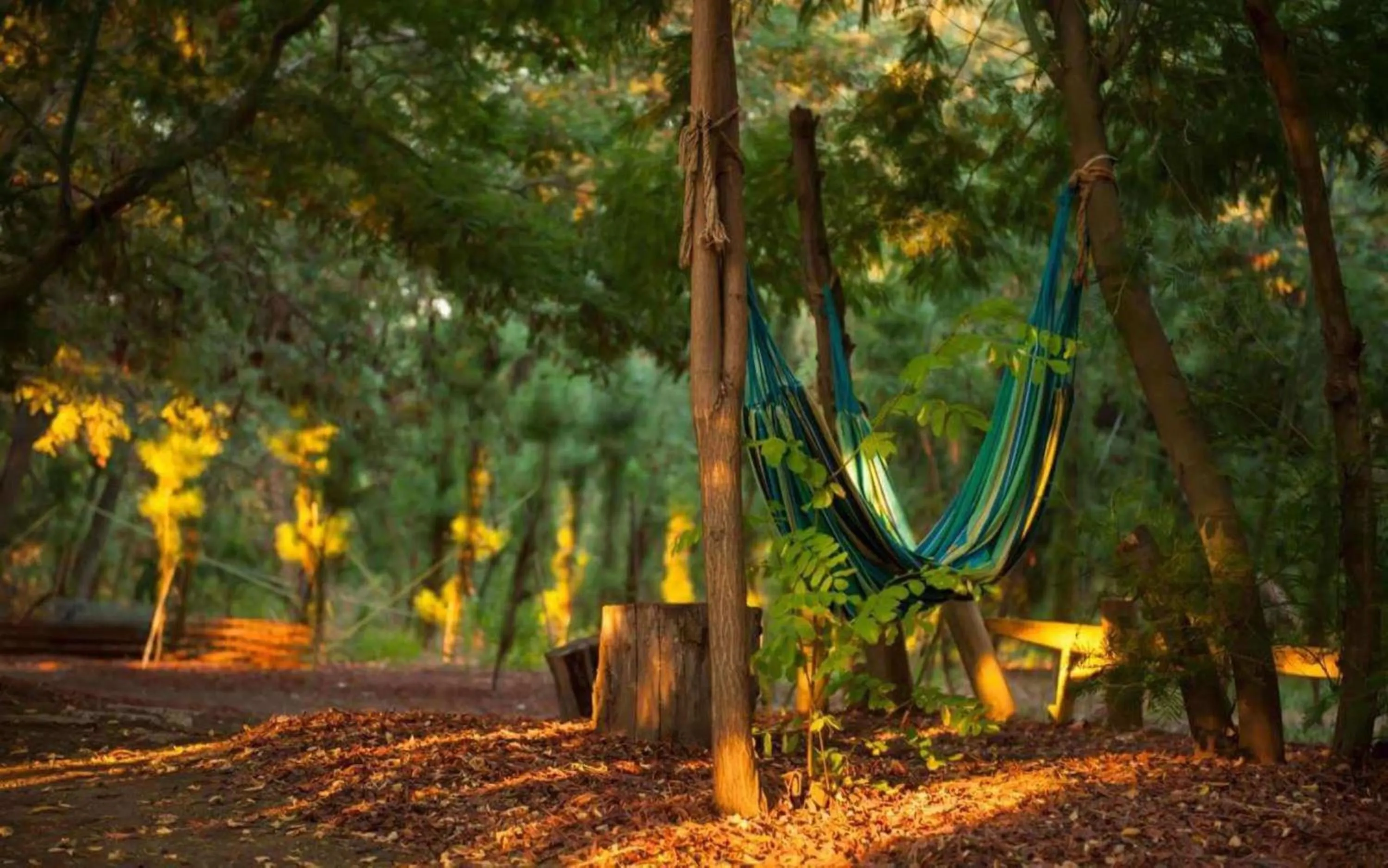 Spring in Cava Colchagua Hotel Boutique