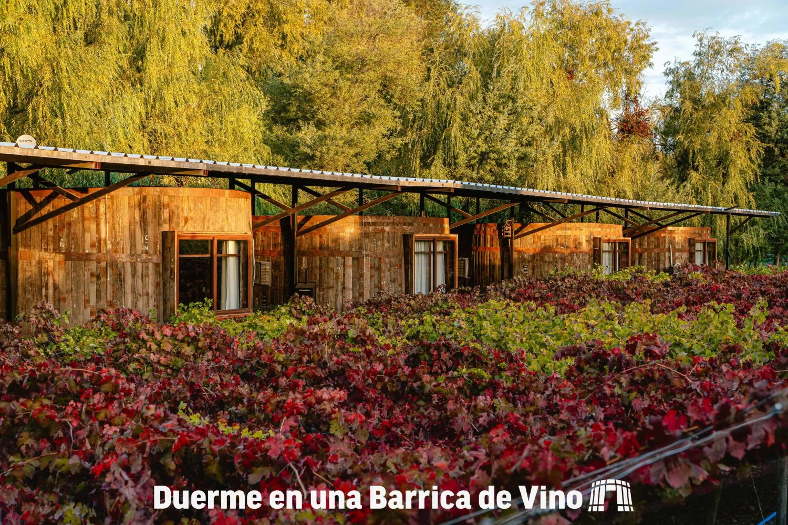 Other in Cava Colchagua Hotel Boutique