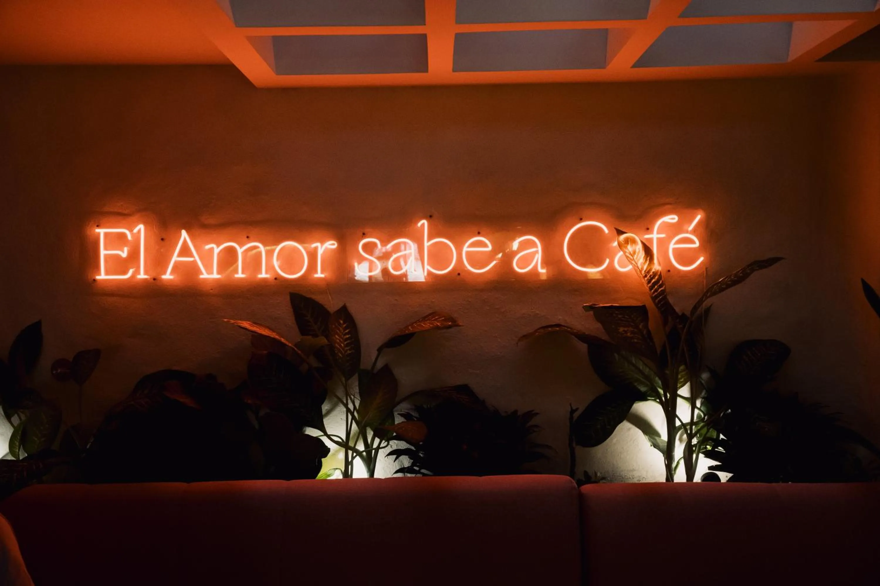 Sonata 44 Hotel Laureles