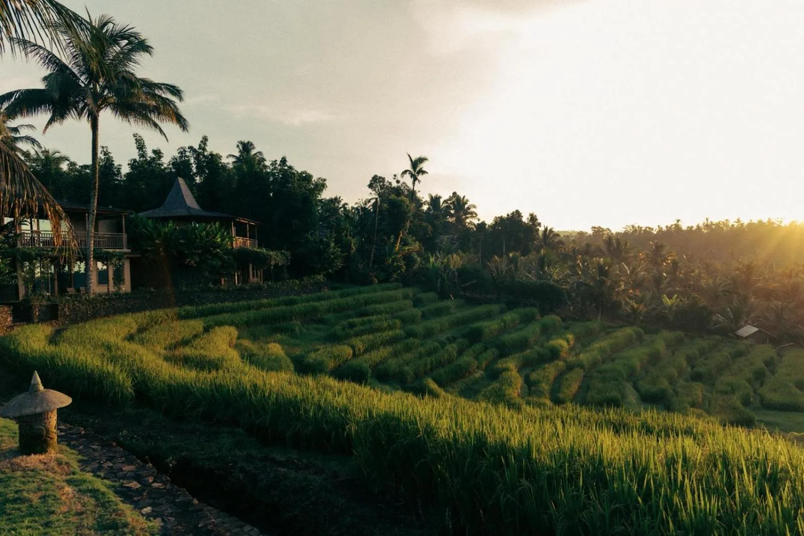 Natural landscape in Puri Dajuma Terrace Eco Lodge & Spa