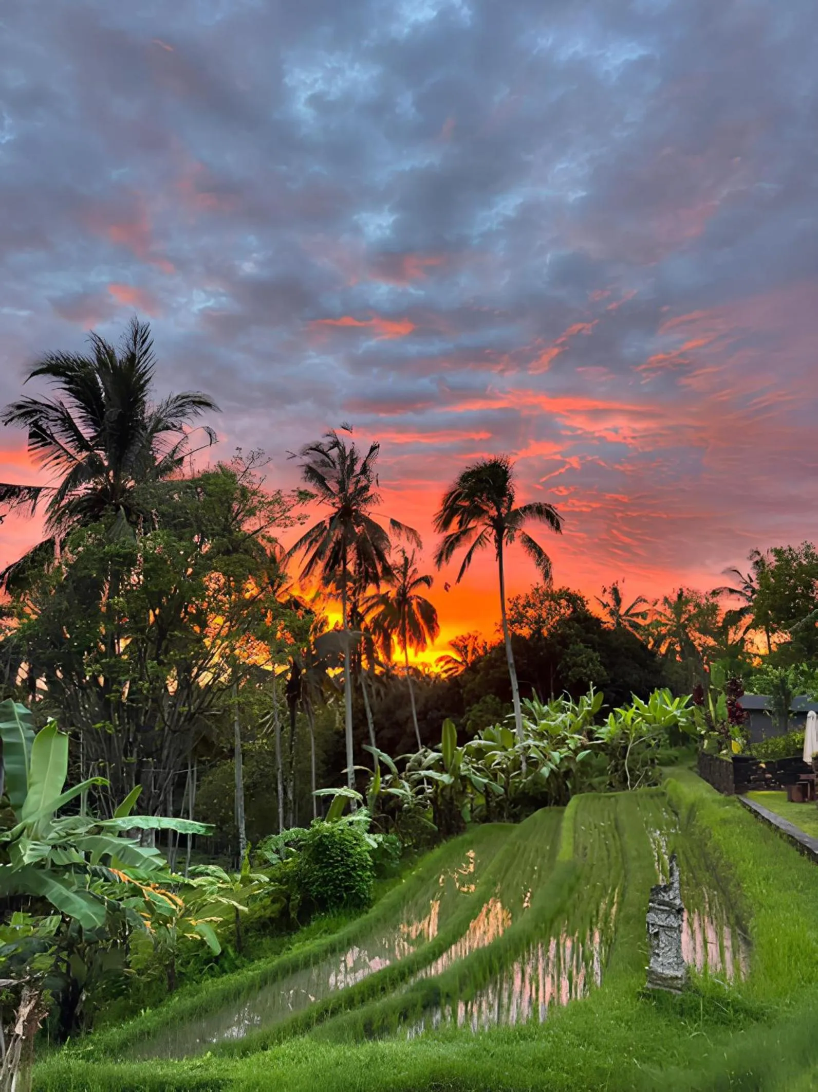 View (from property/room) in Puri Dajuma Terrace Eco Lodge & Spa