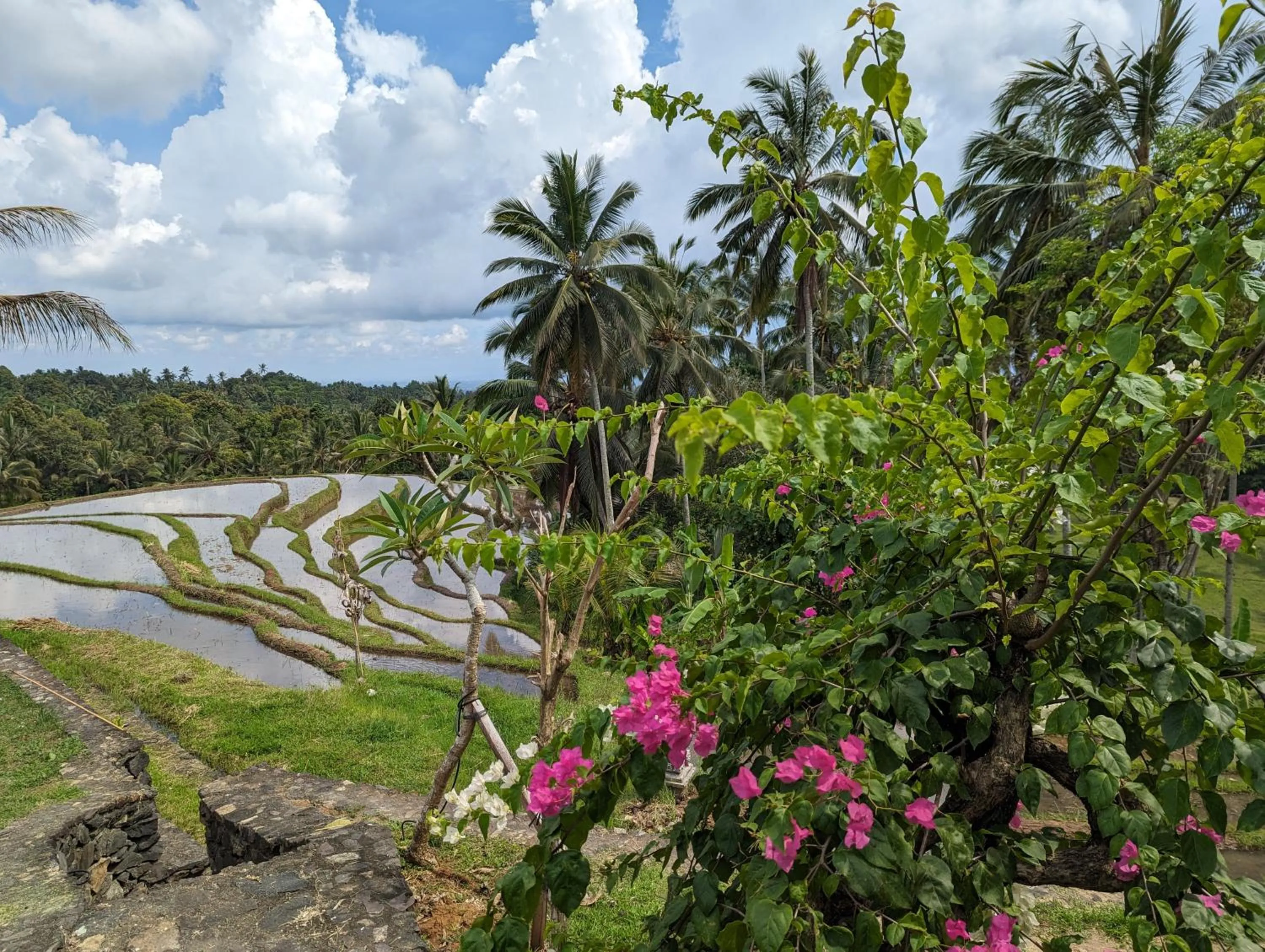 Natural landscape in Puri Dajuma Terrace Eco Lodge & Spa