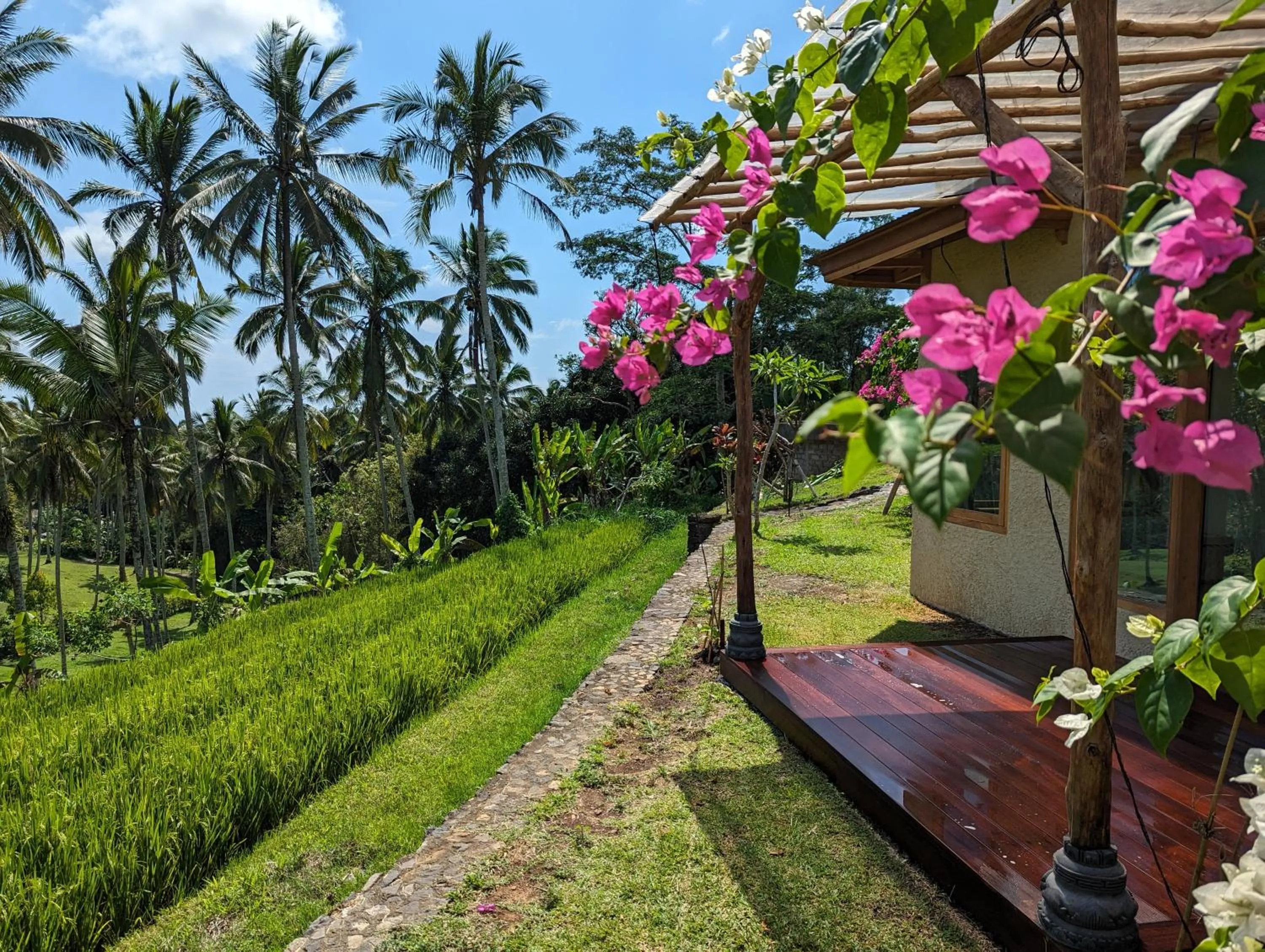 Natural landscape in Puri Dajuma Terrace Eco Lodge & Spa