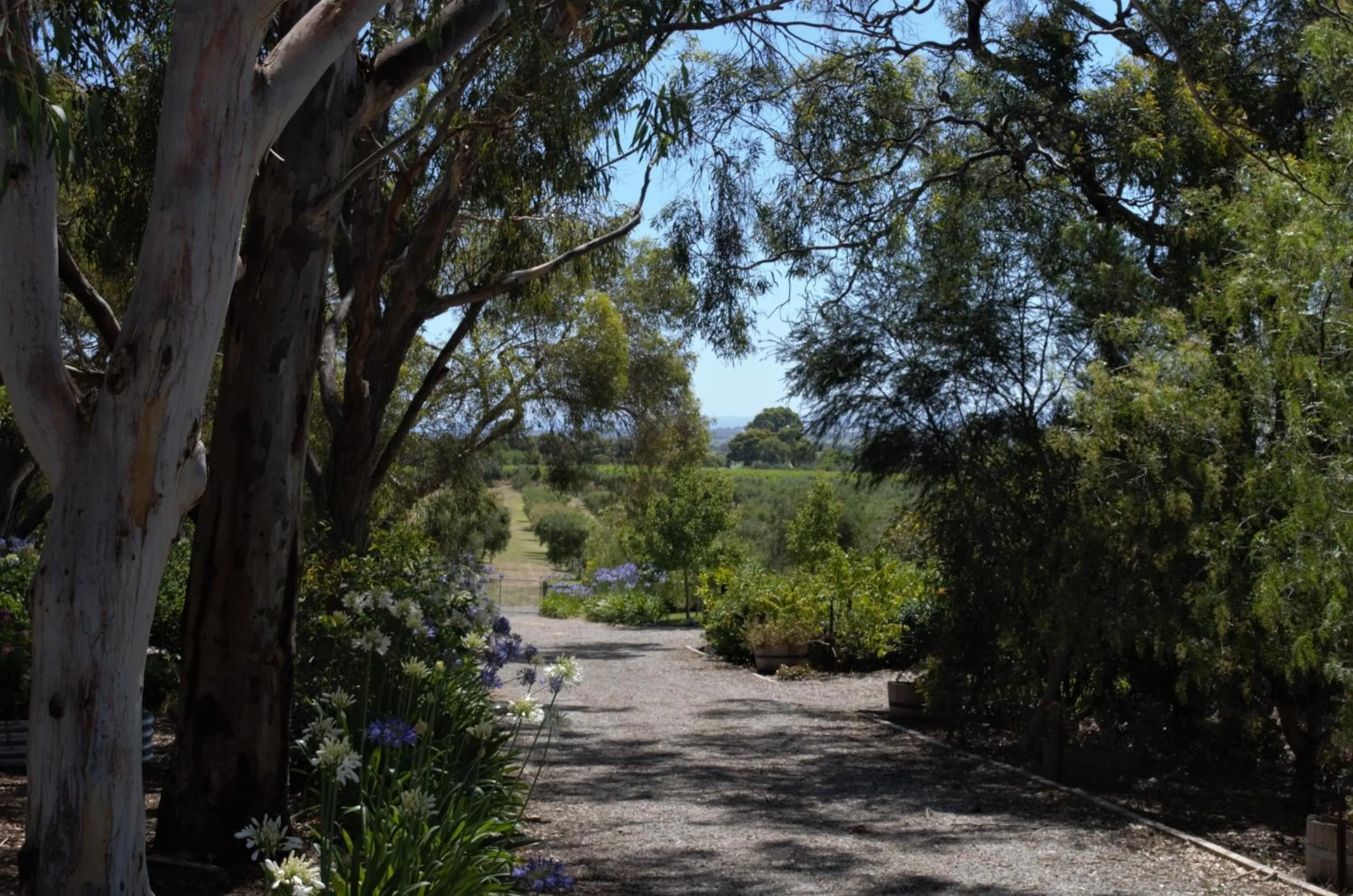 The Farm Willunga