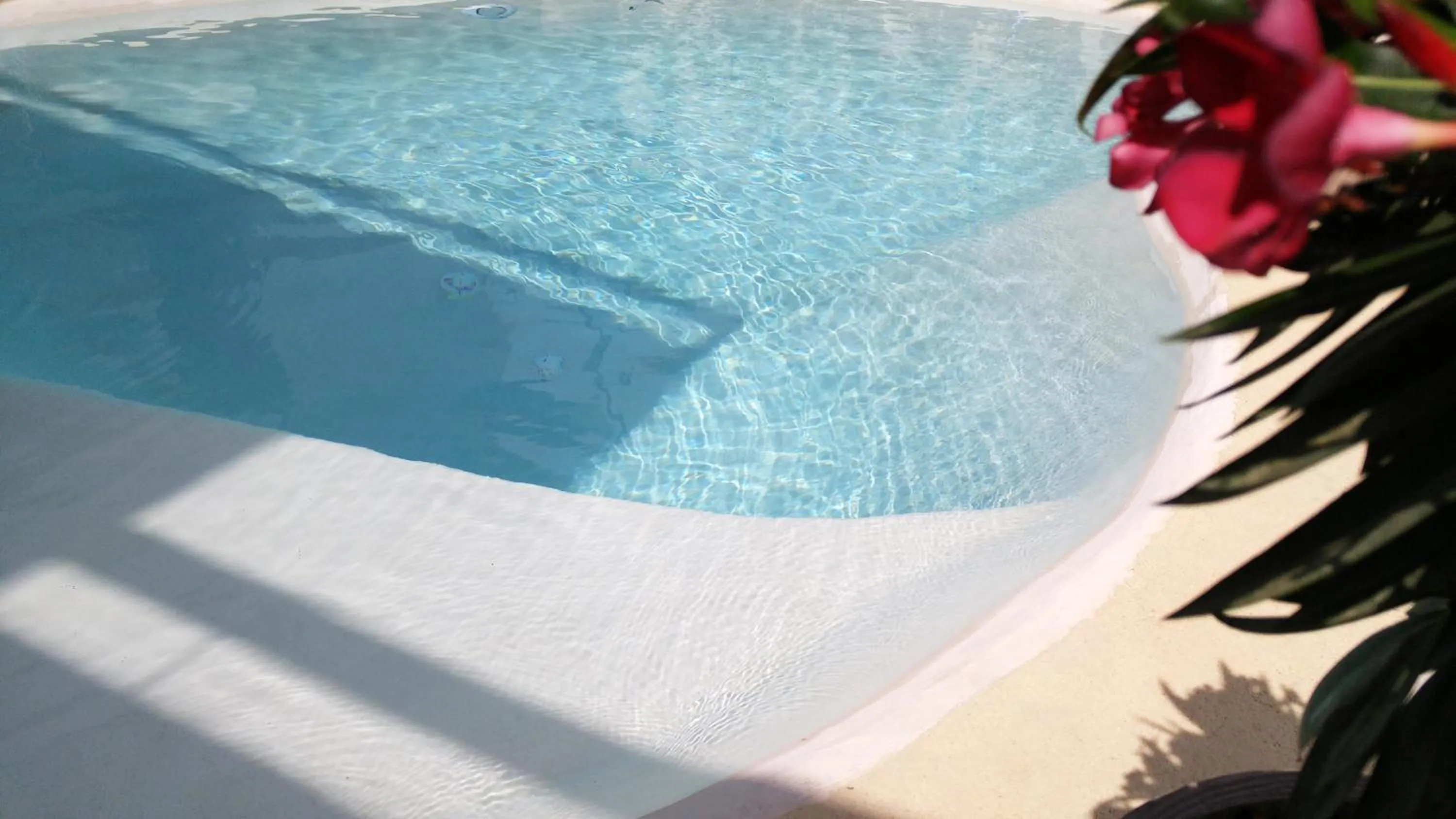 Swimming pool in Basic Mansion Mandalina