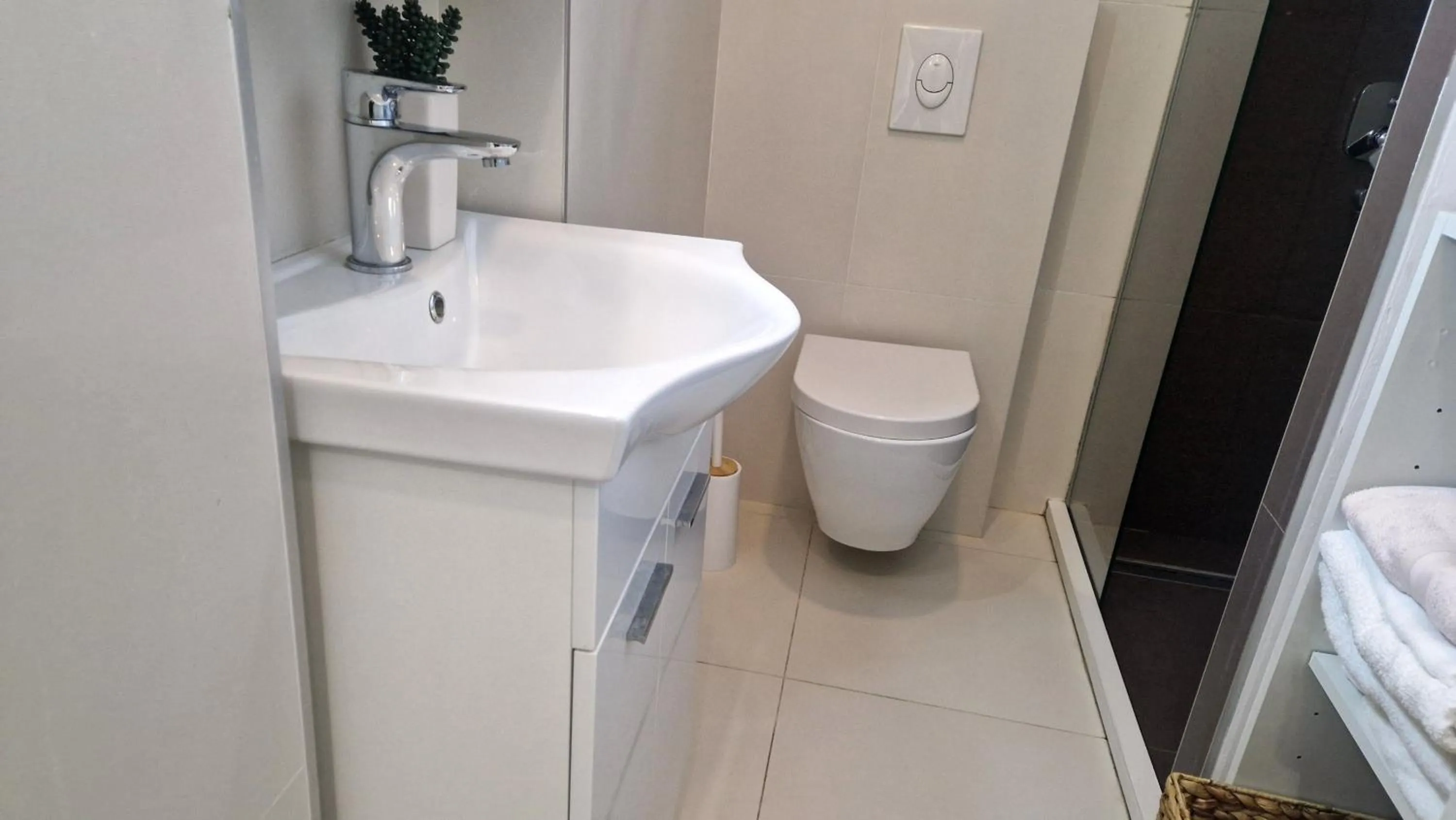 Shower in Basic Mansion Mandalina