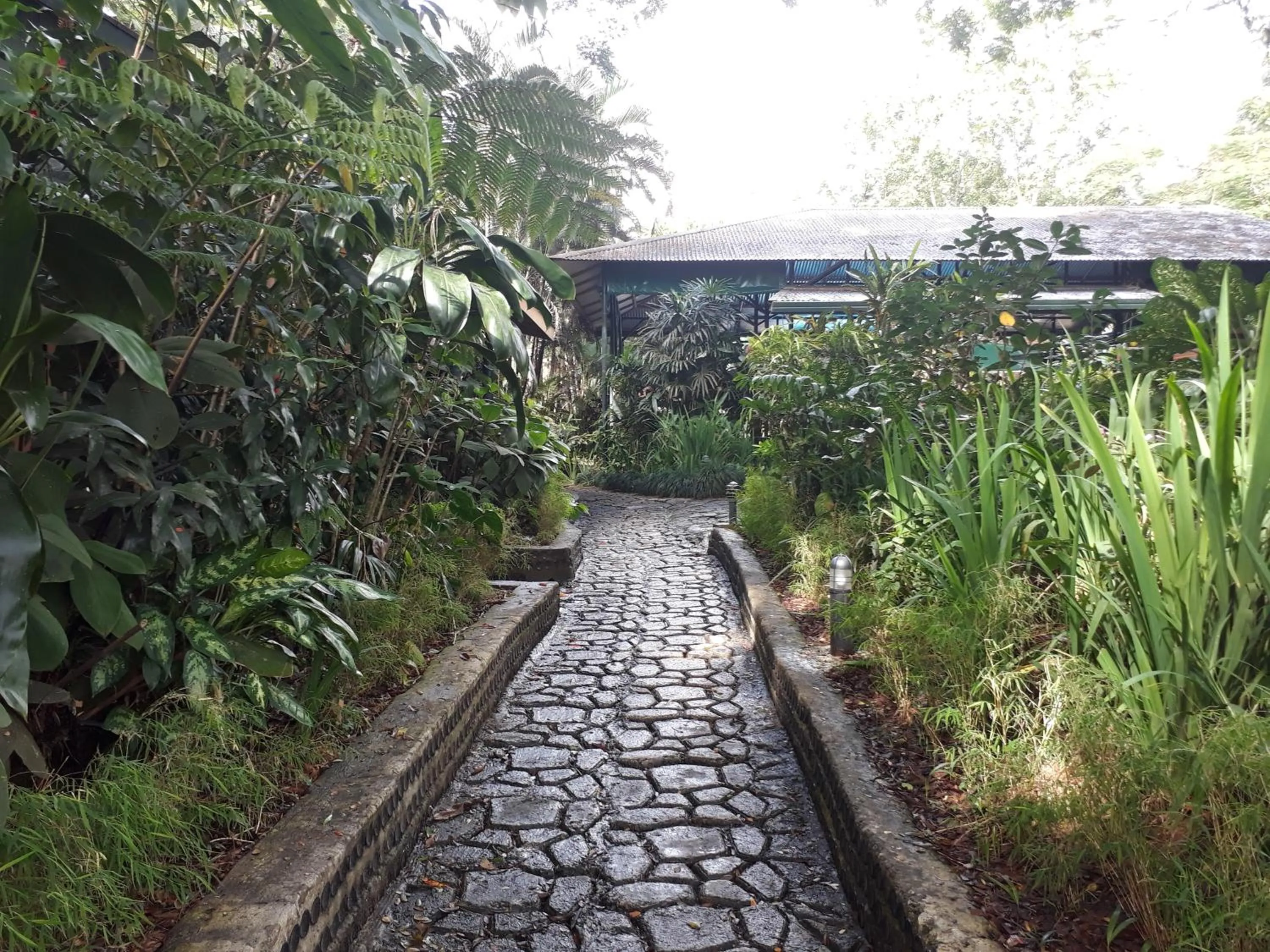 Garden in Rainforest Eco Lodge