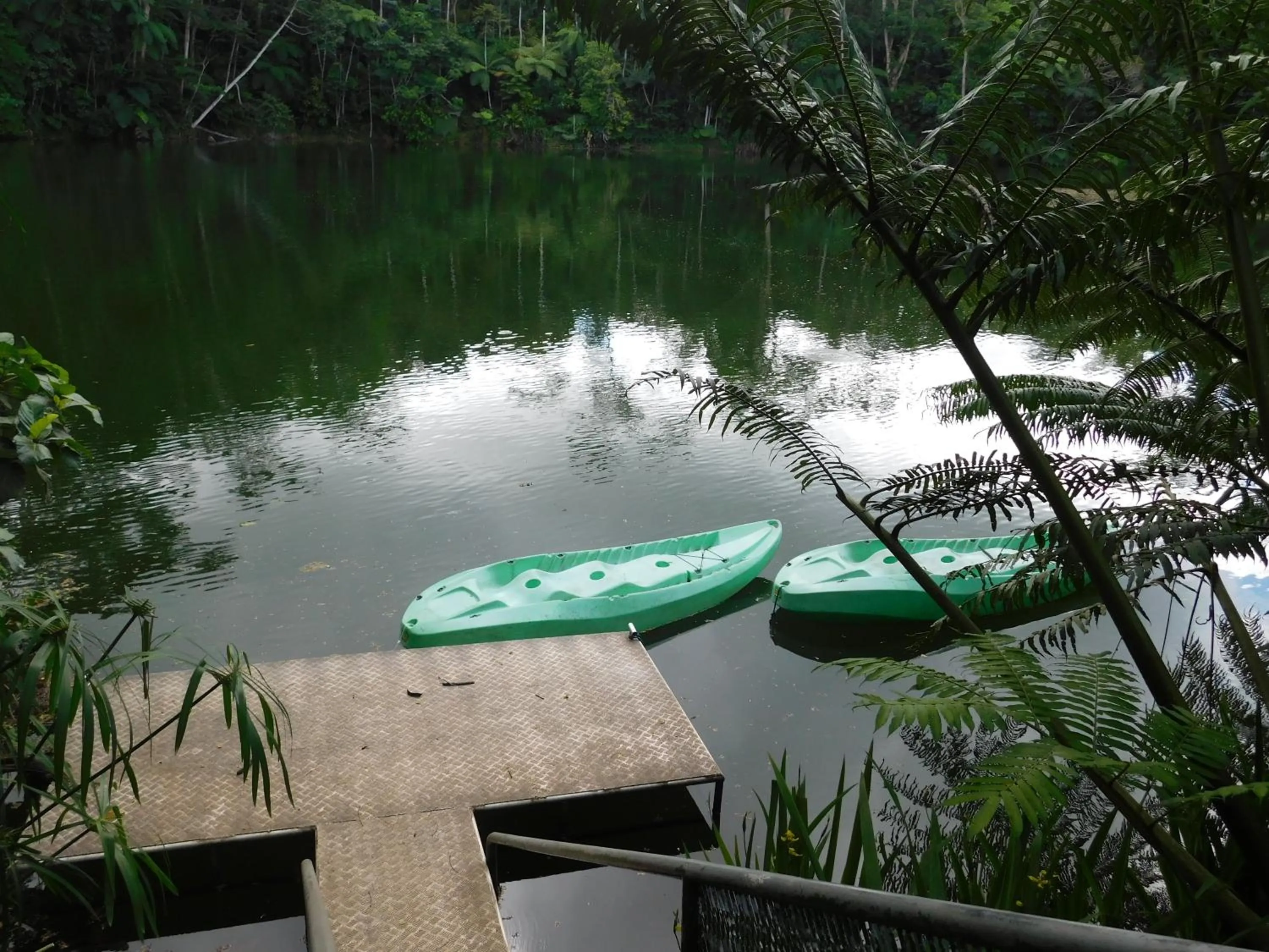 Lake view in Rainforest Eco Lodge
