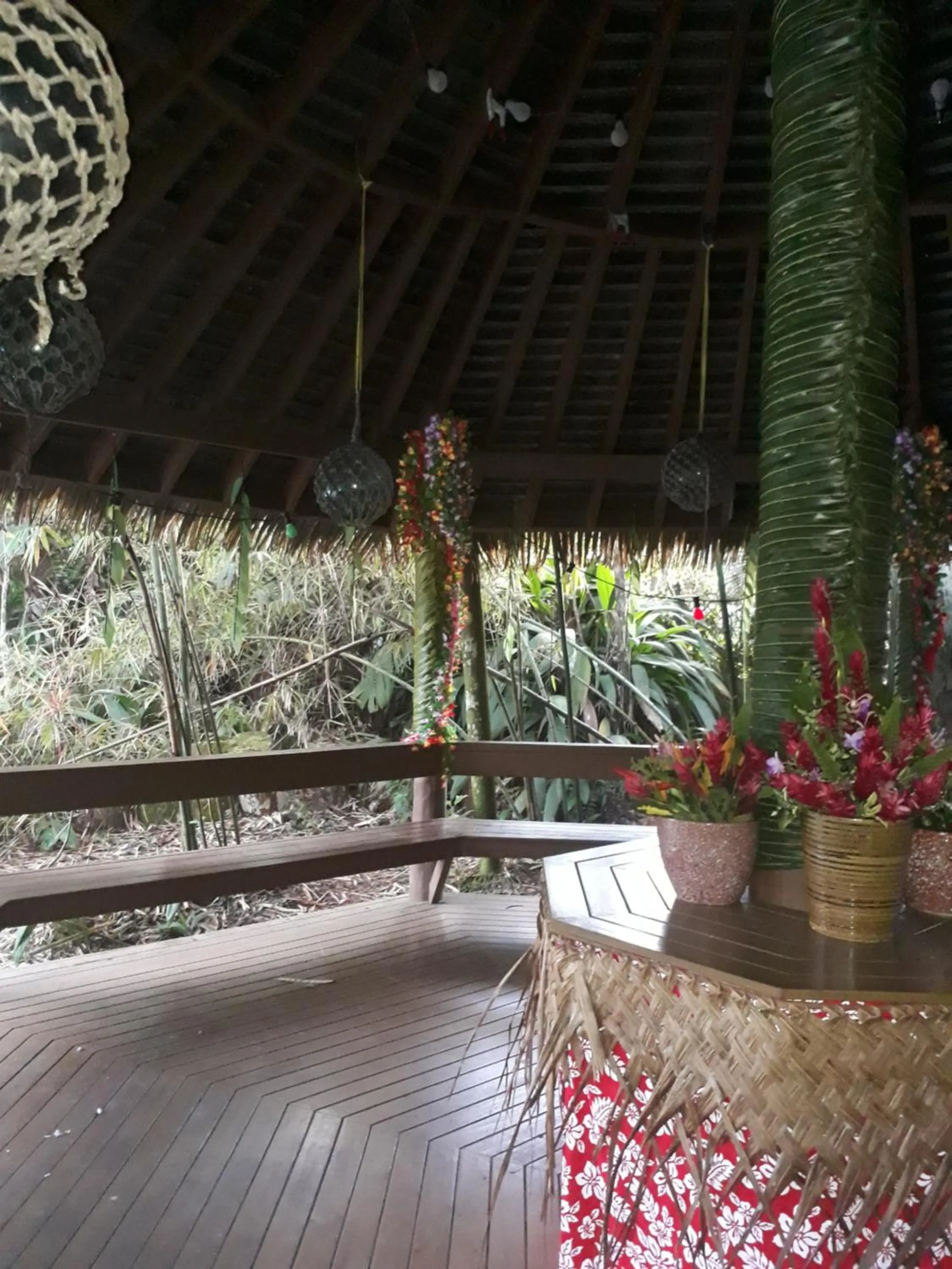 Restaurant/places to eat in Rainforest Eco Lodge