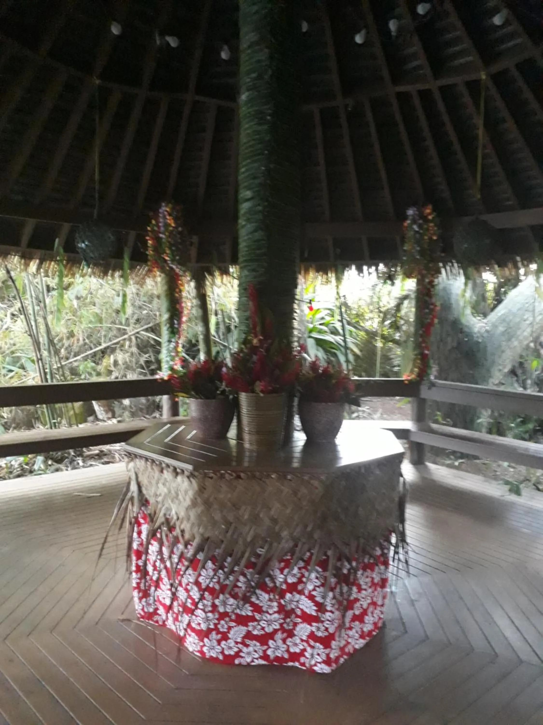 Restaurant/places to eat in Rainforest Eco Lodge