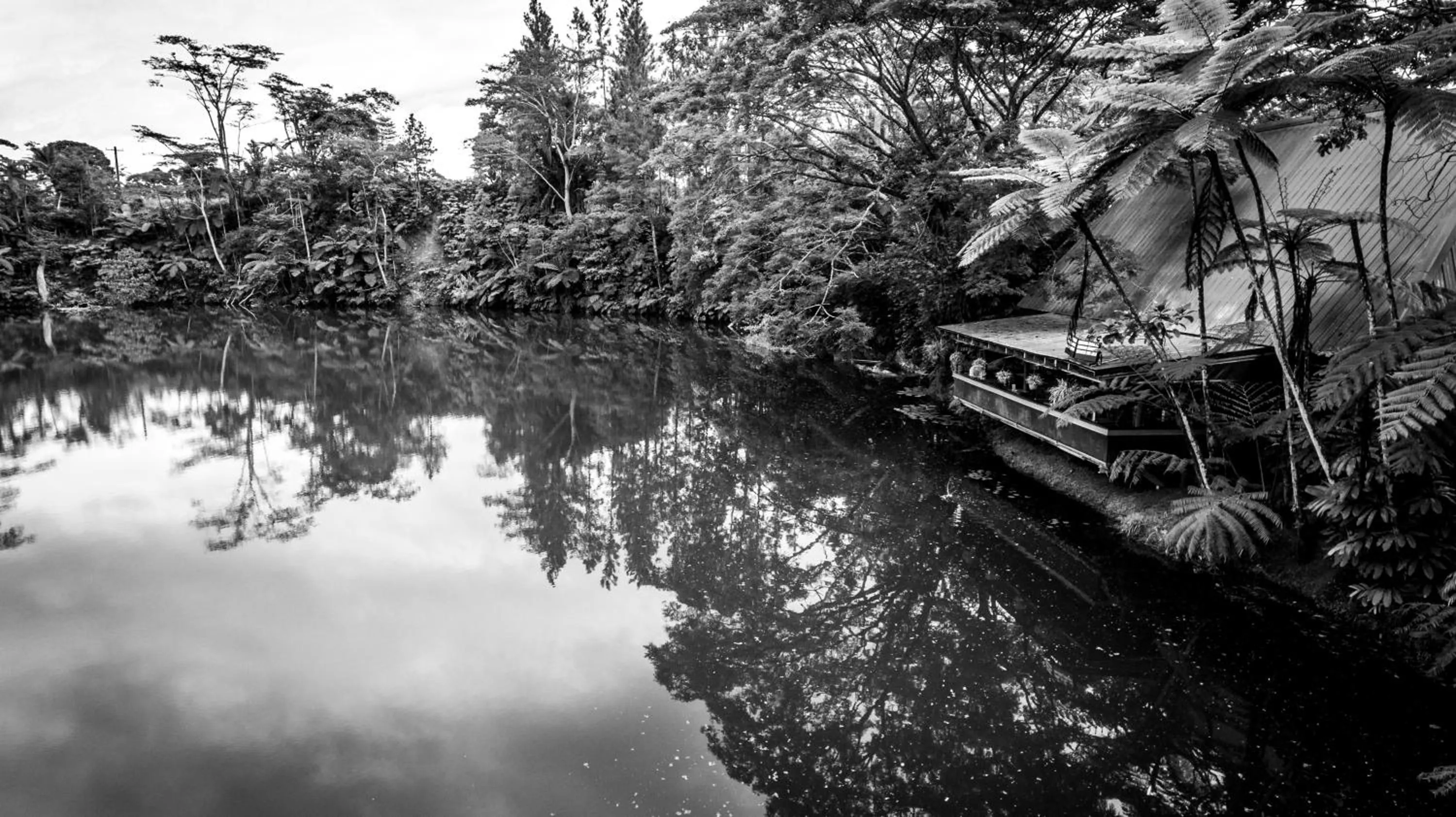 Restaurant/places to eat in Rainforest Eco Lodge