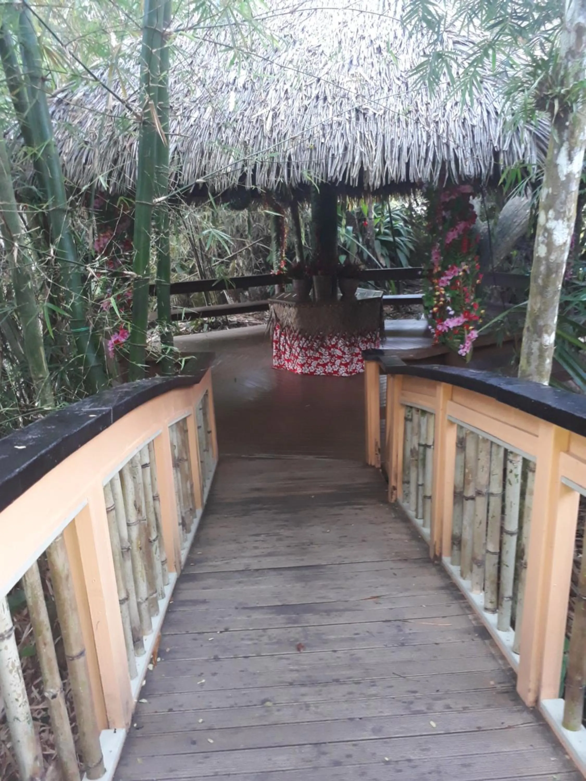 Garden in Rainforest Eco Lodge