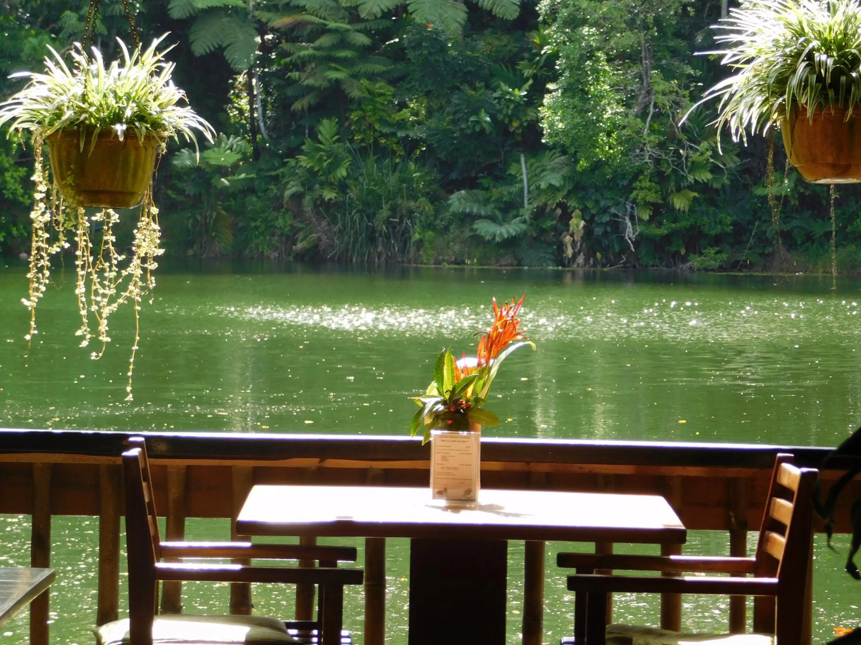 Restaurant/places to eat in Rainforest Eco Lodge