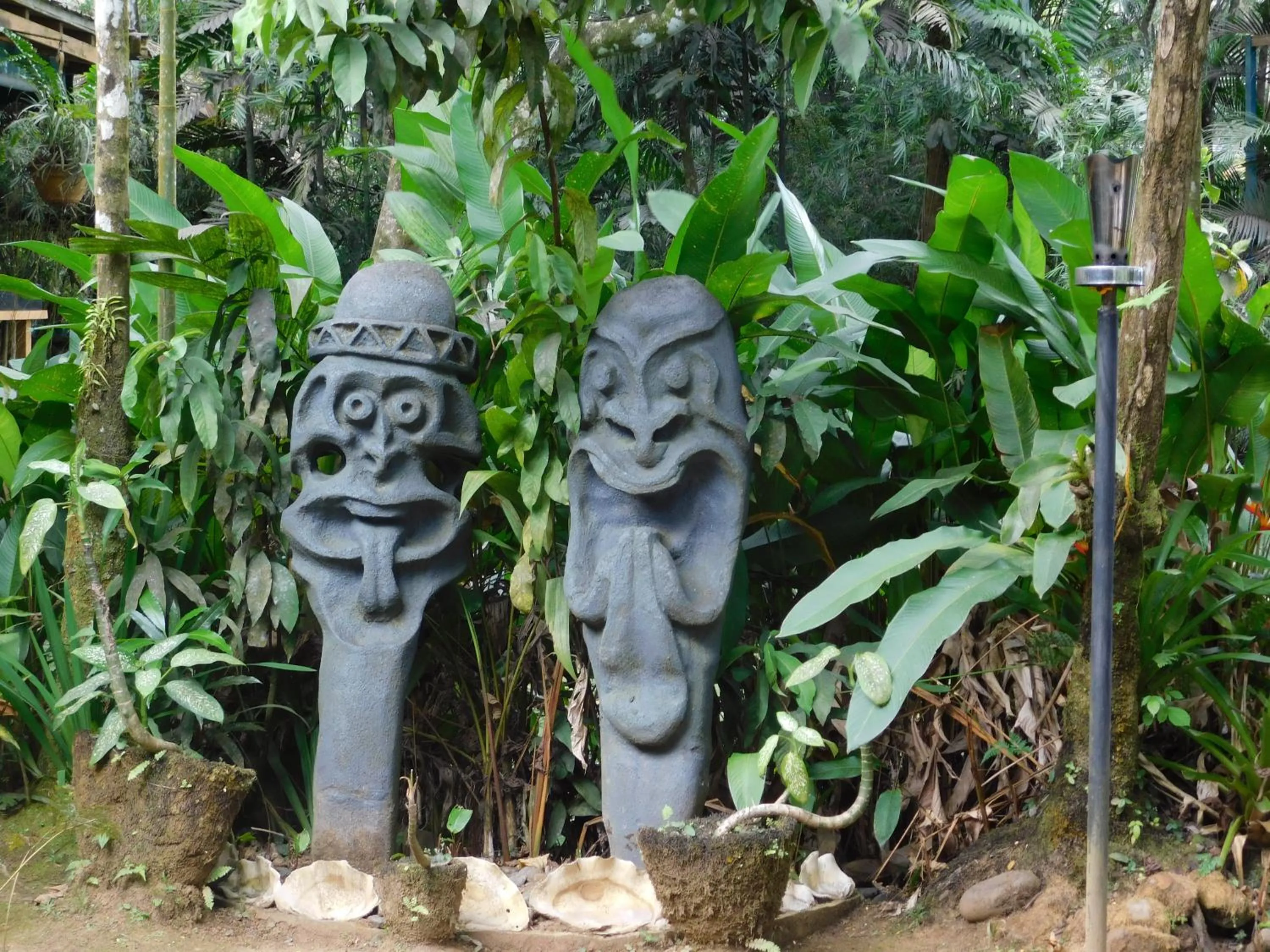 Garden in Rainforest Eco Lodge