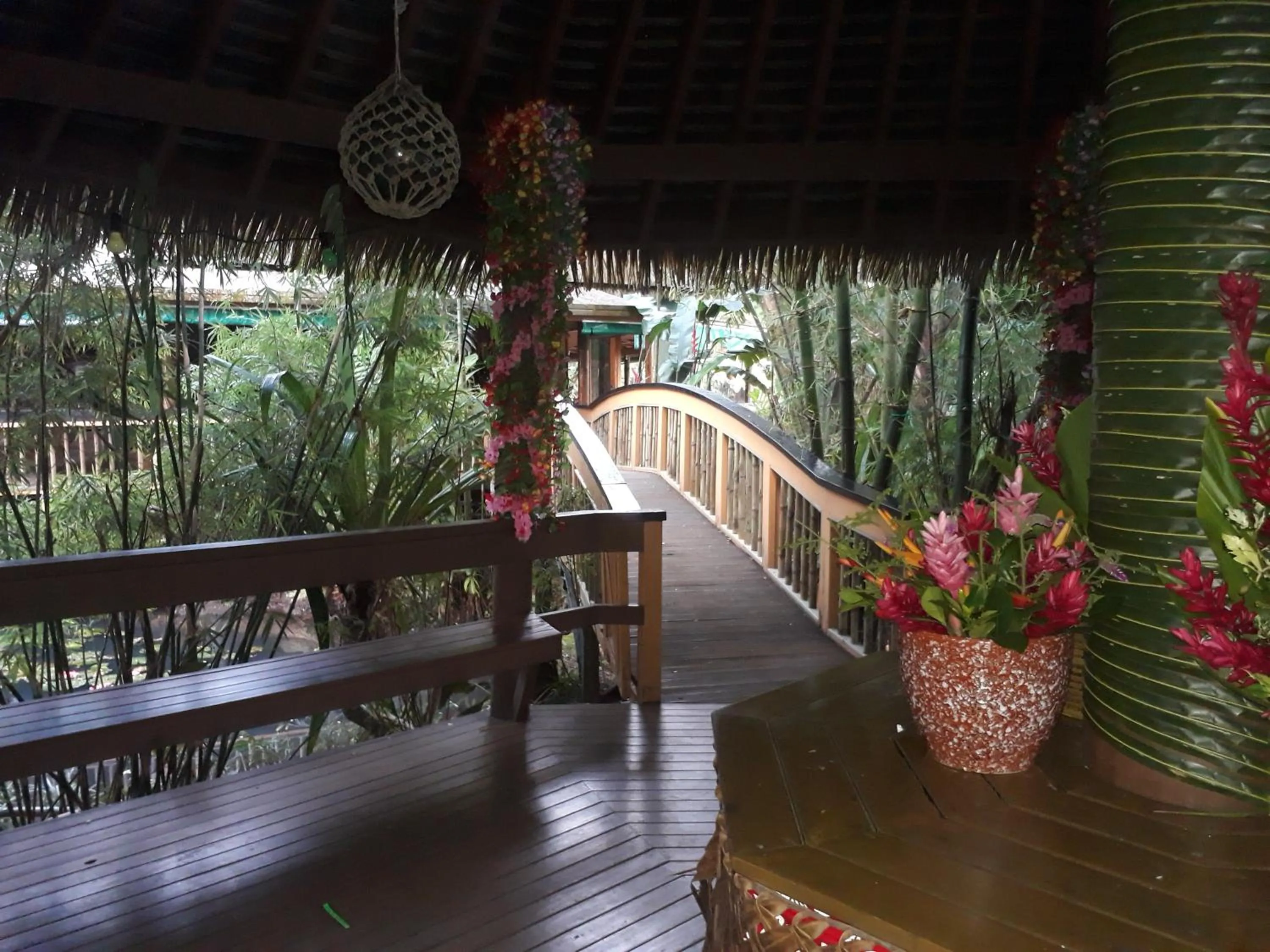 Restaurant/places to eat in Rainforest Eco Lodge