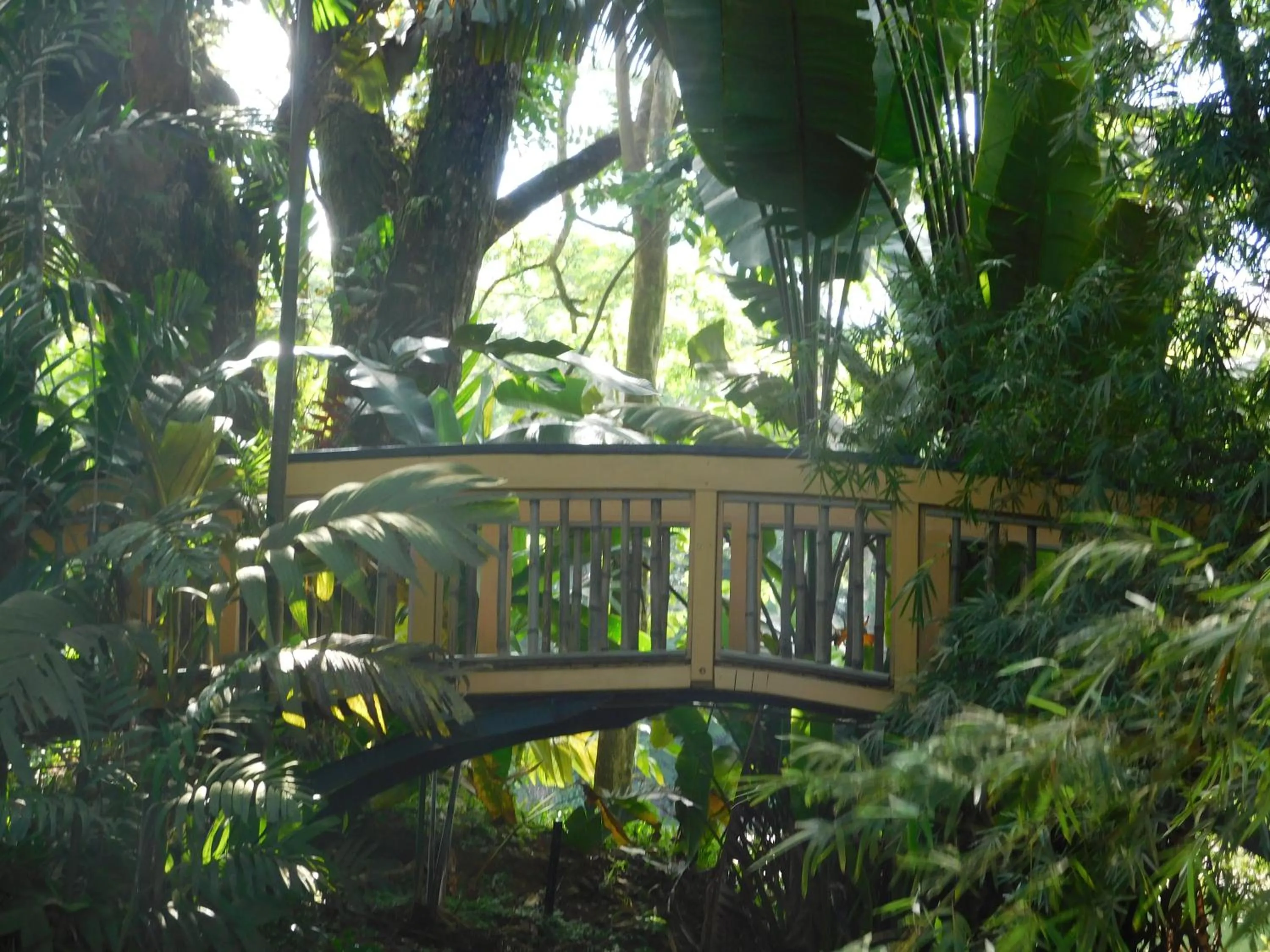 Garden in Rainforest Eco Lodge