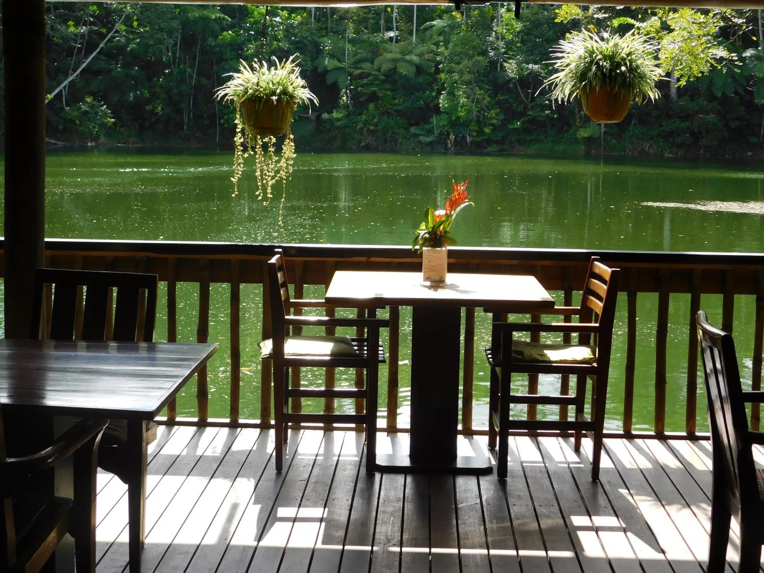 Balcony/Terrace in Rainforest Eco Lodge