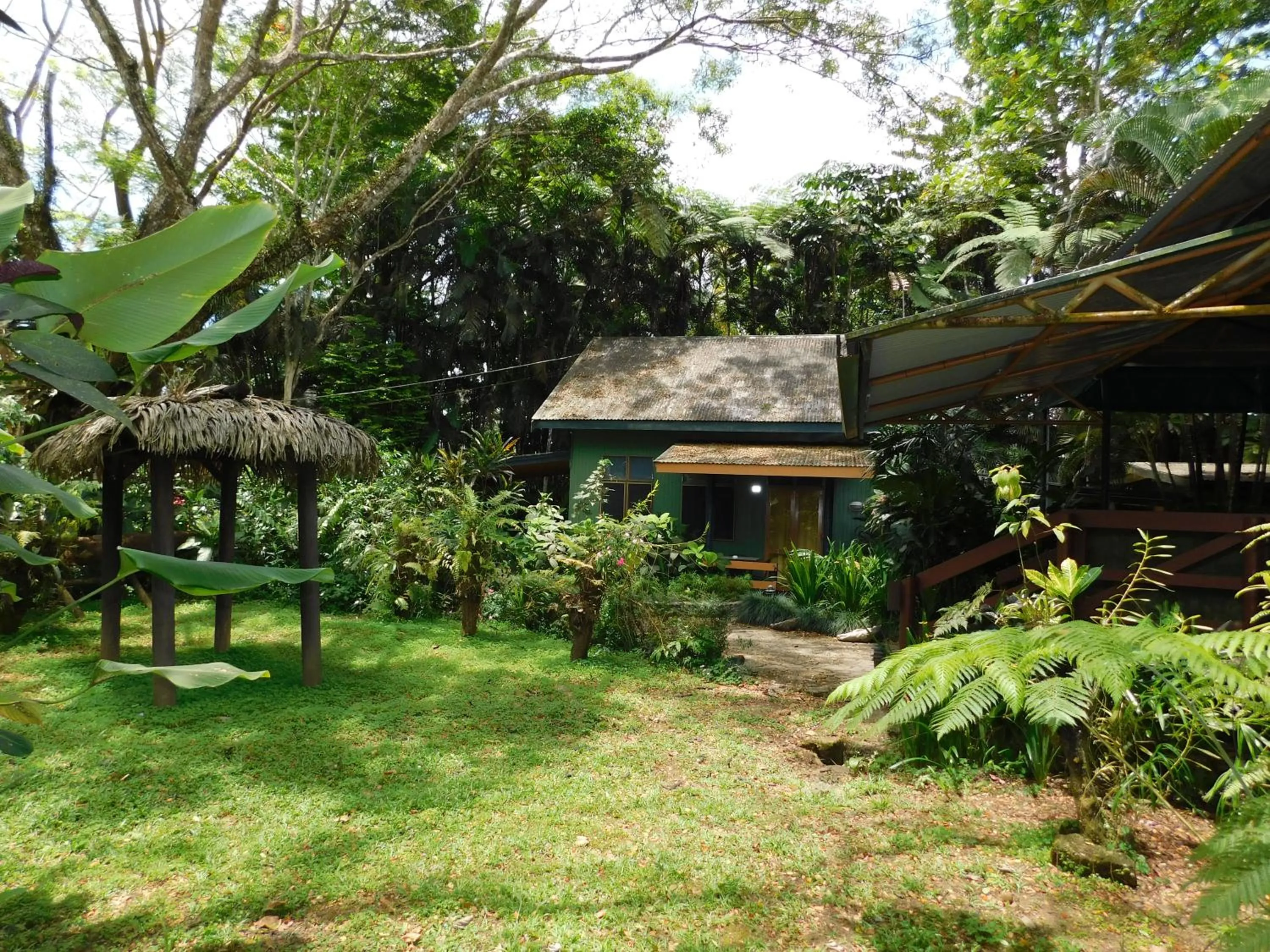 Garden in Rainforest Eco Lodge