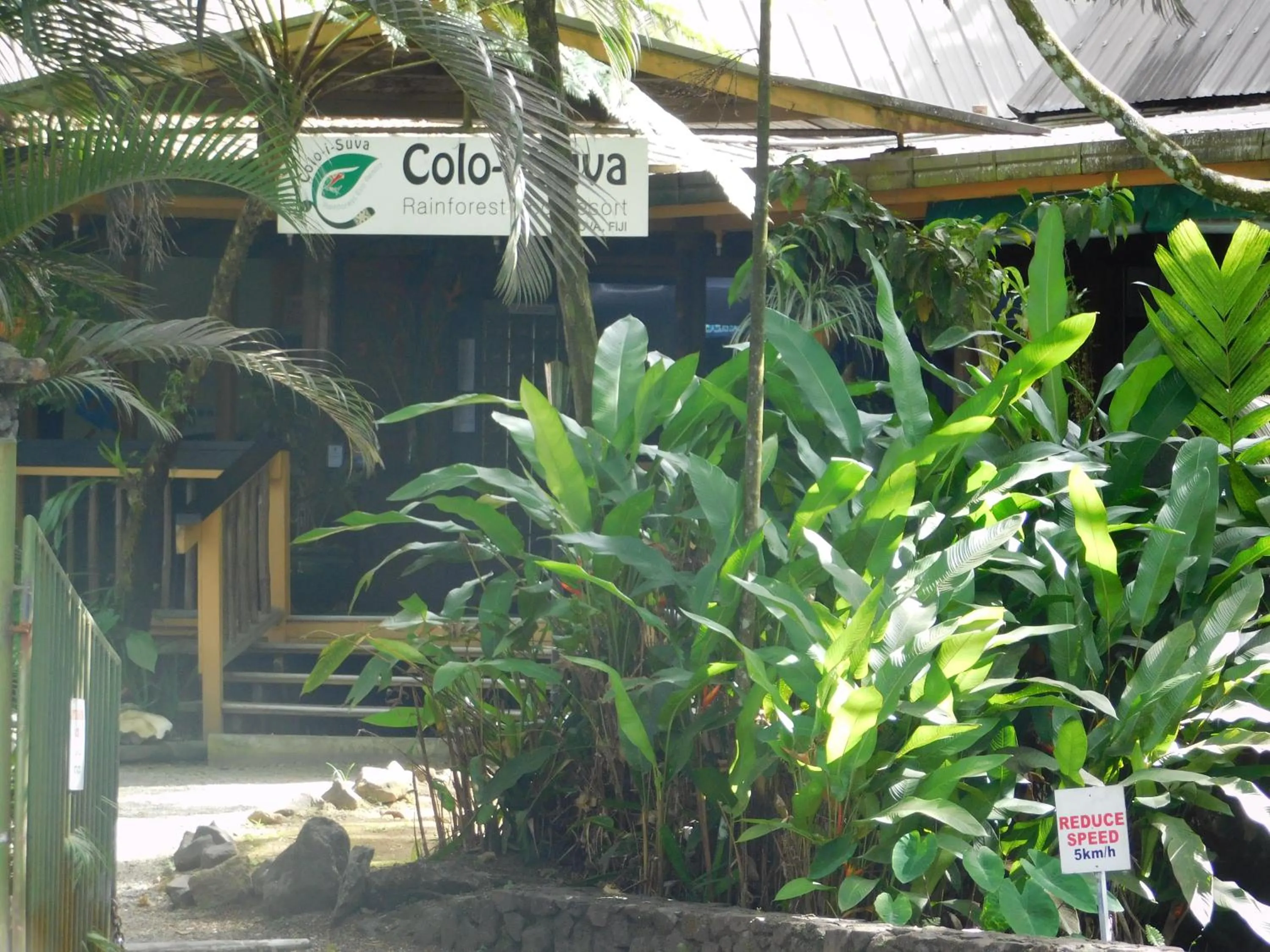 Lobby or reception in Rainforest Eco Lodge