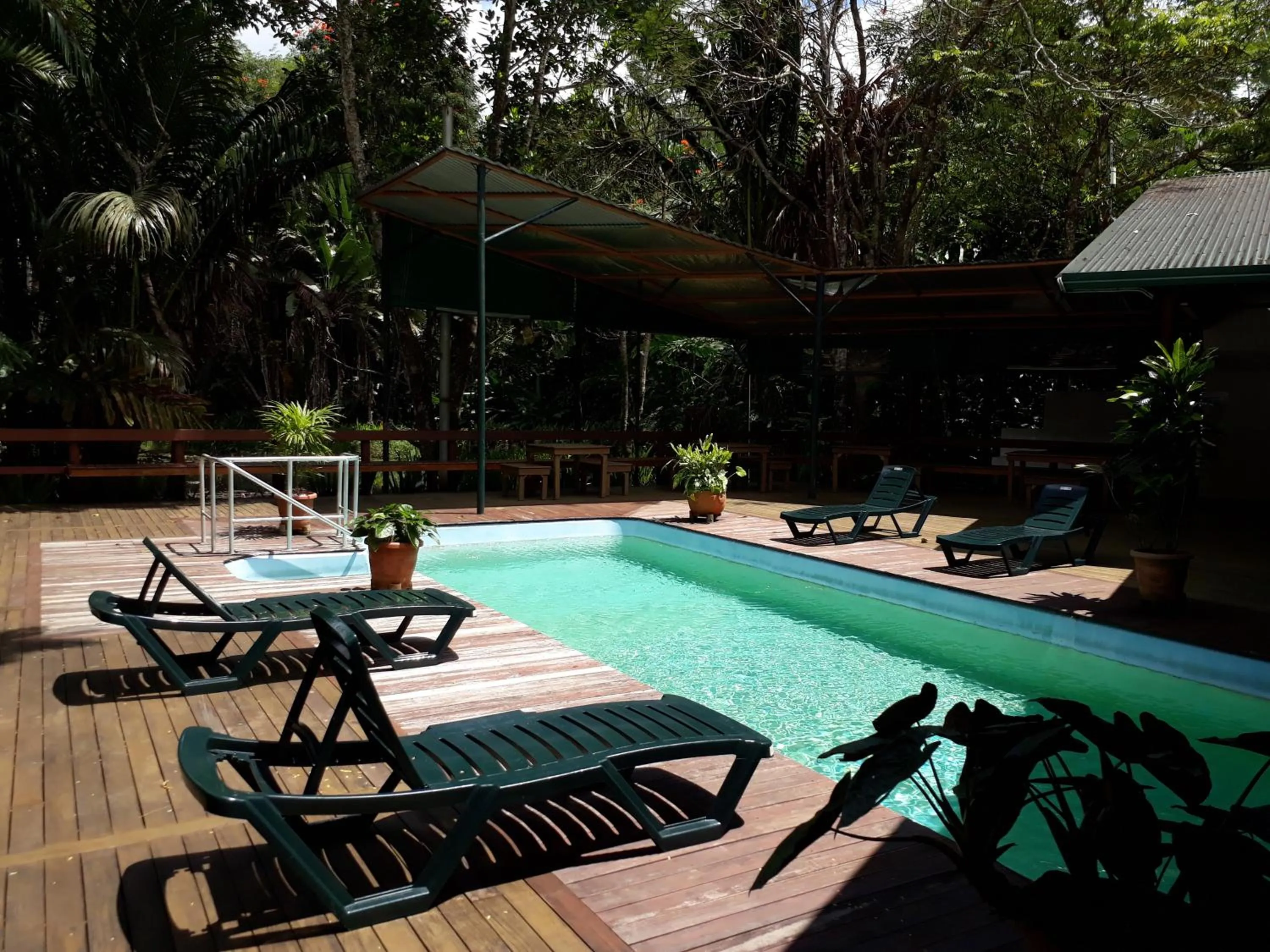 Swimming pool in Rainforest Eco Lodge