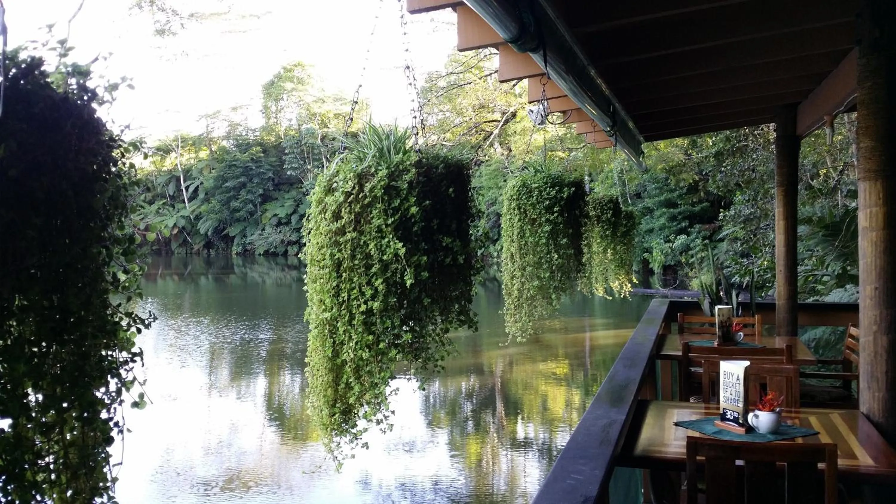 Restaurant/places to eat in Rainforest Eco Lodge