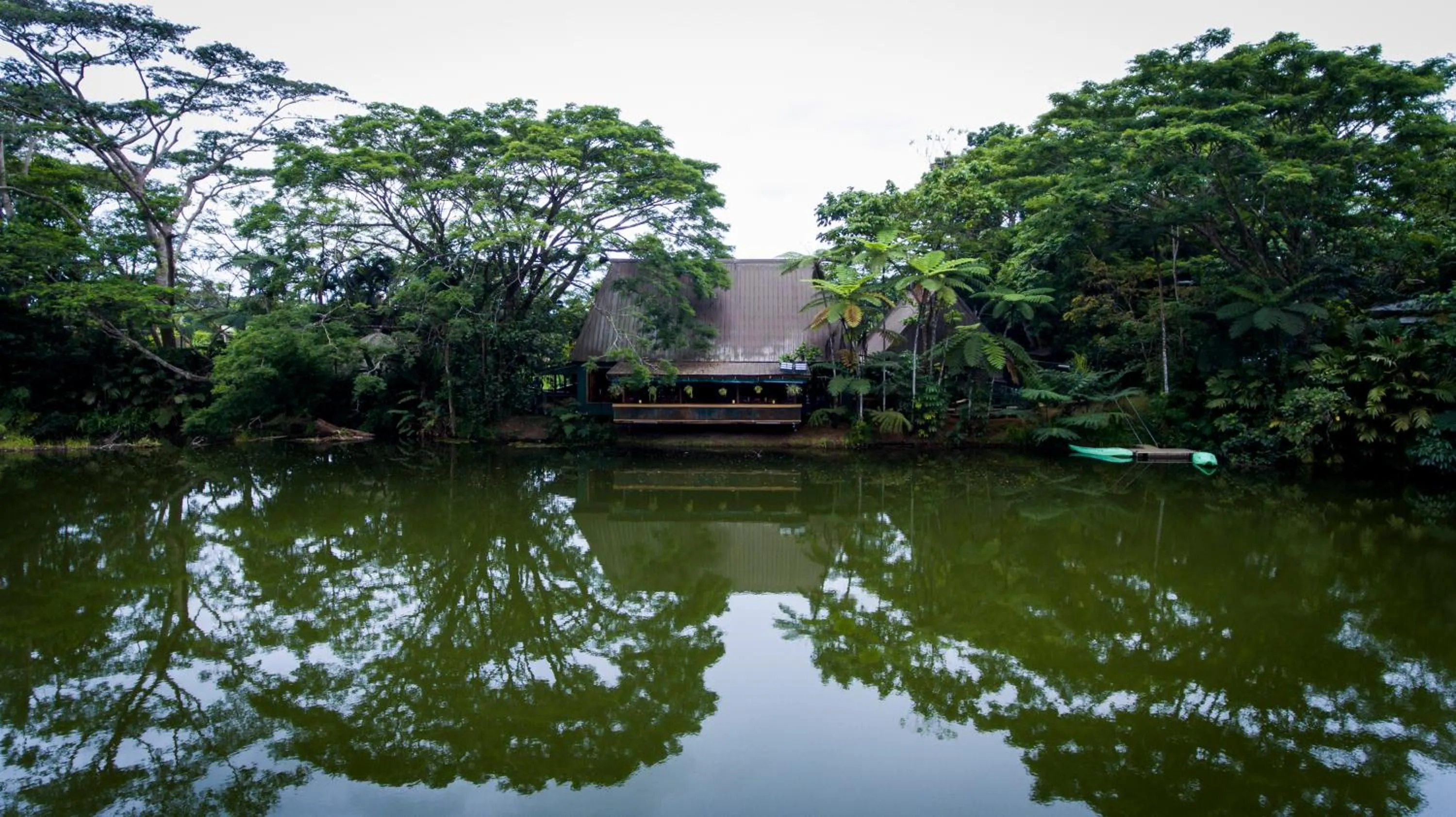 Restaurant/places to eat in Rainforest Eco Lodge