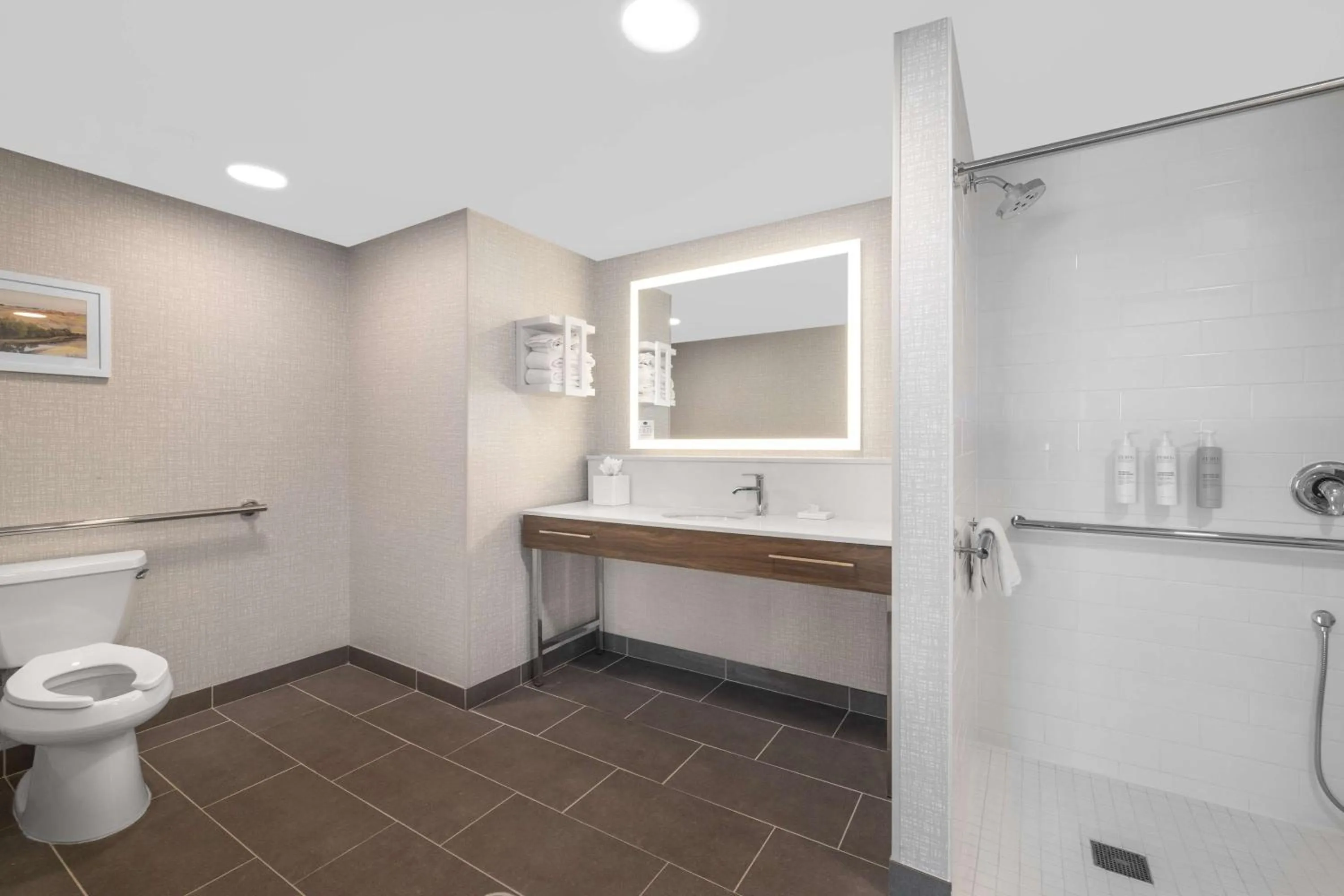 Bathroom in Hampton Inn & Suites Bakersfield Central