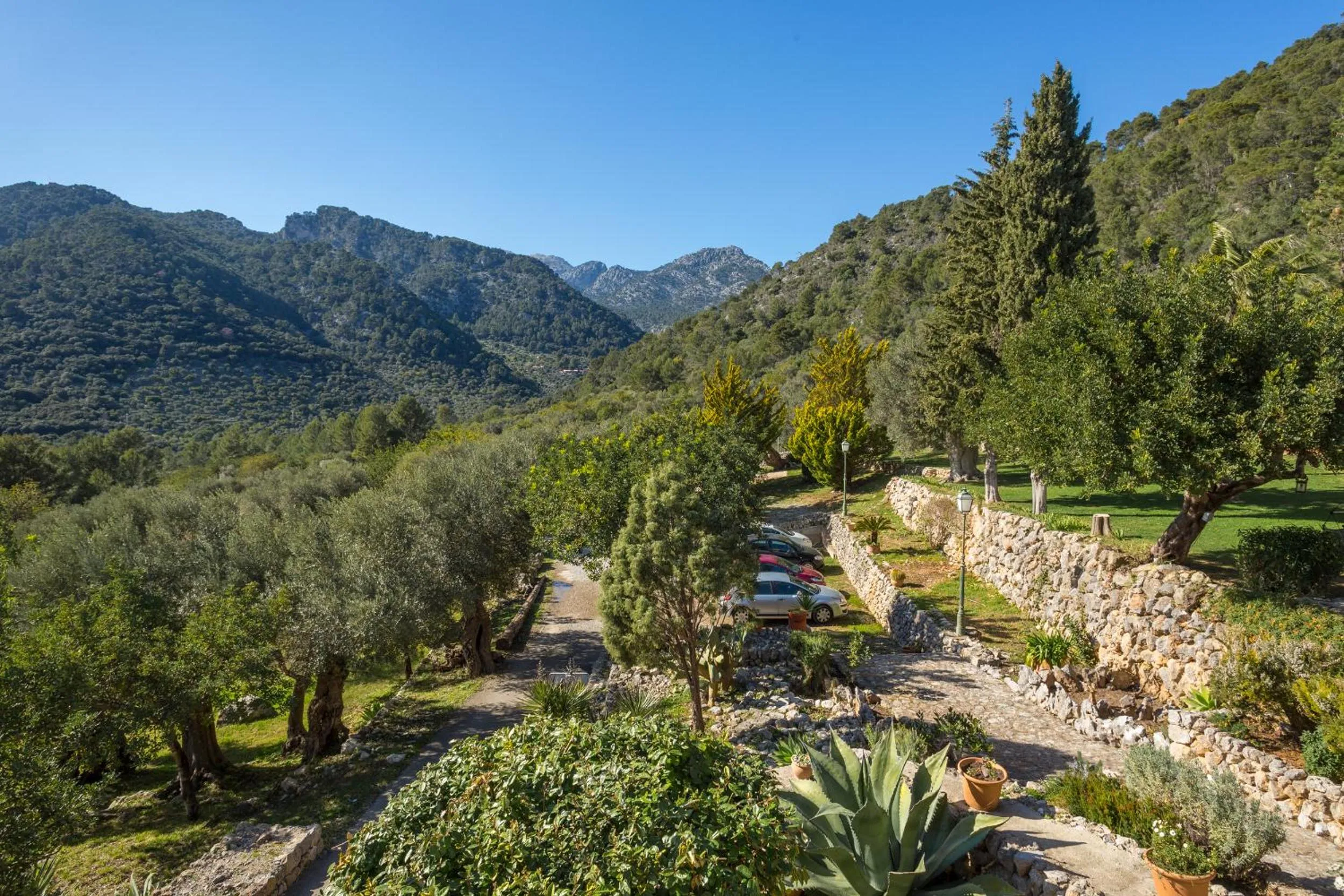 Mountain view in Finca Es Castell