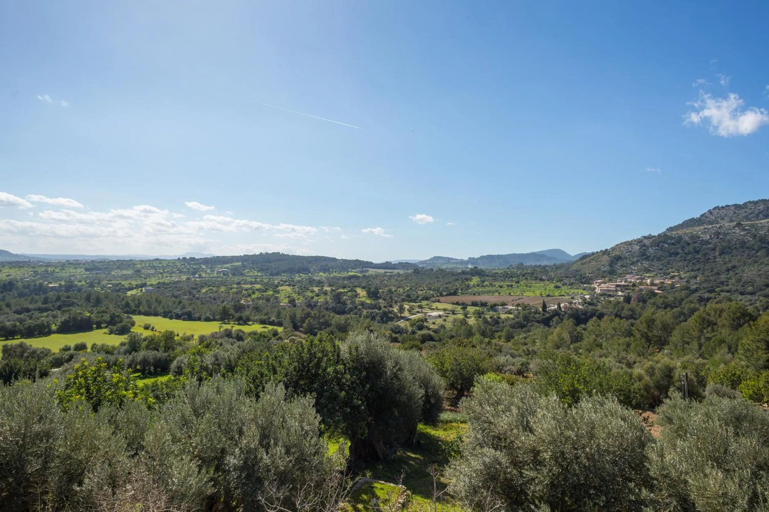 Day in Finca Es Castell