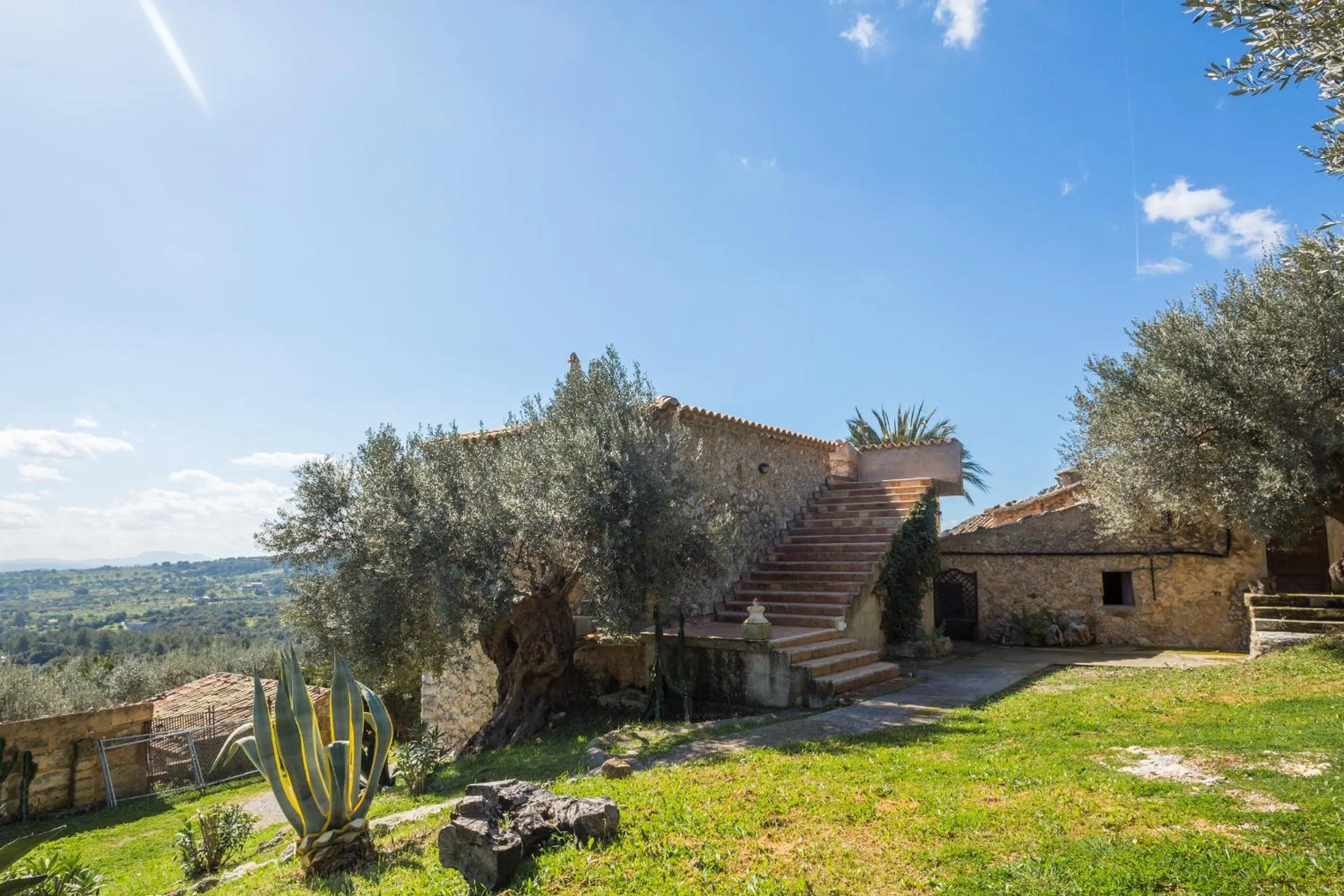 Garden in Finca Es Castell