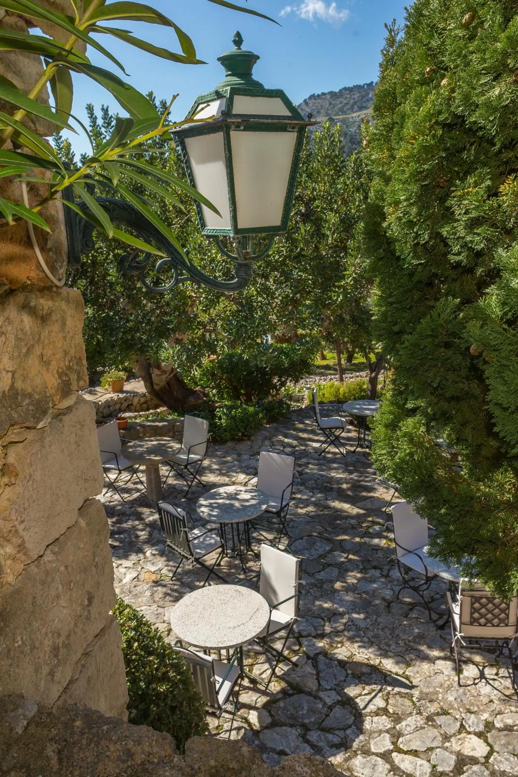 Natural landscape in Finca Es Castell