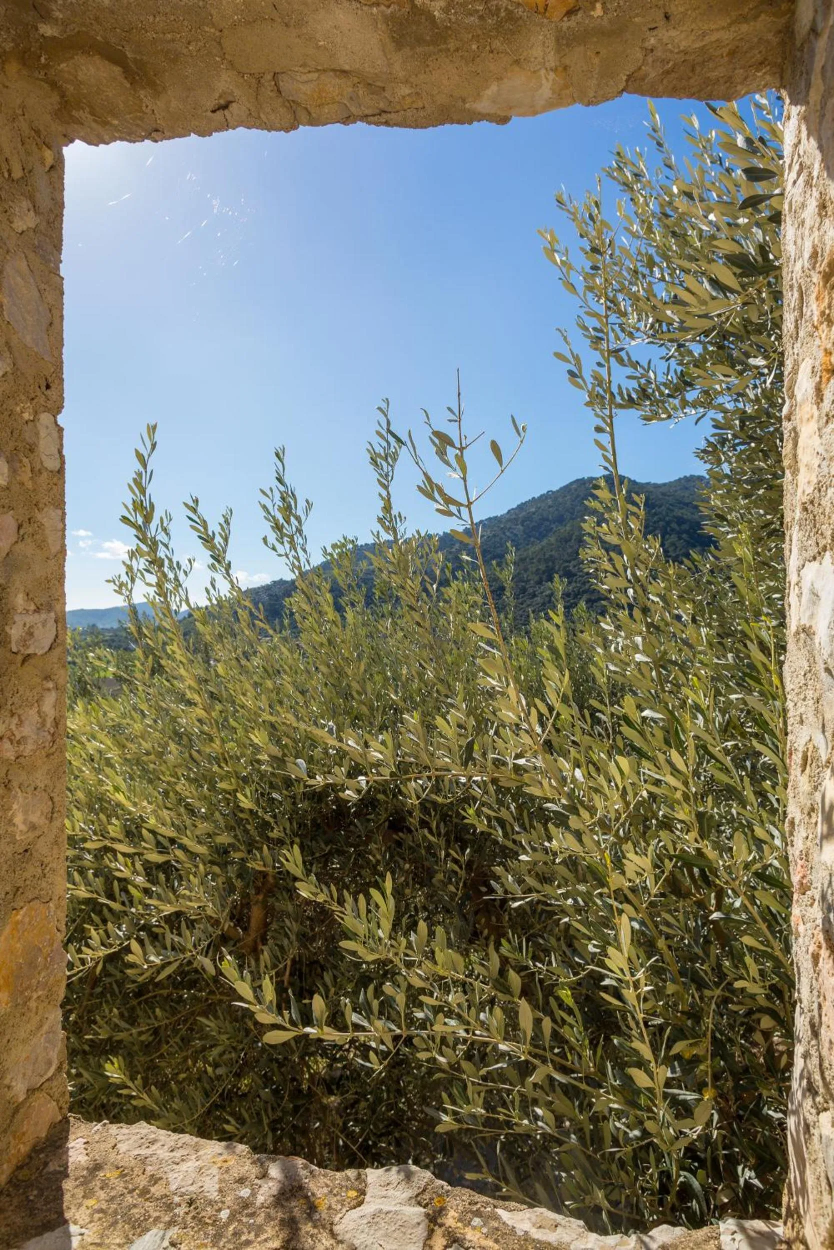 Day in Finca Es Castell