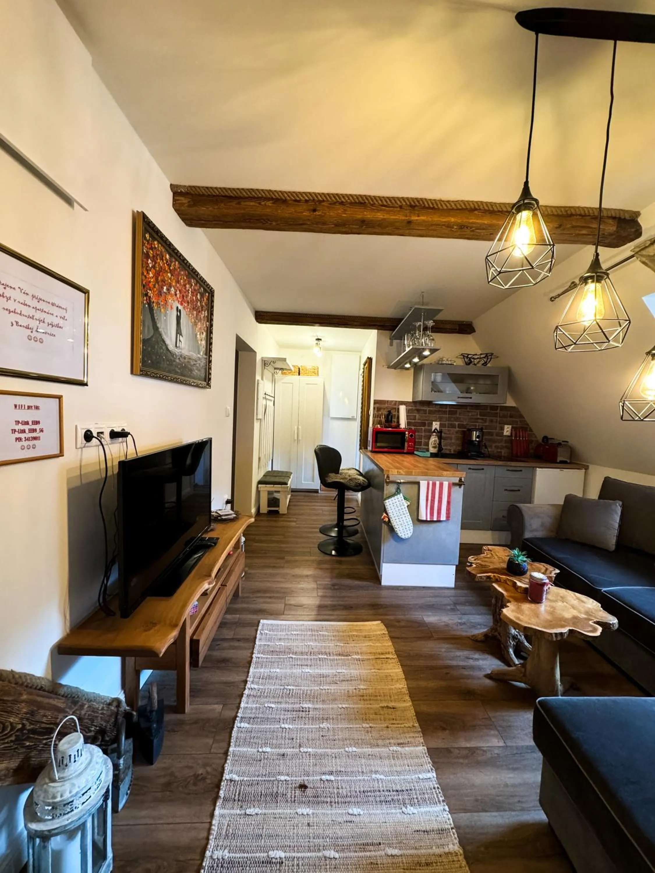 Communal lounge/ TV room in Opera apartments - Mestský palác