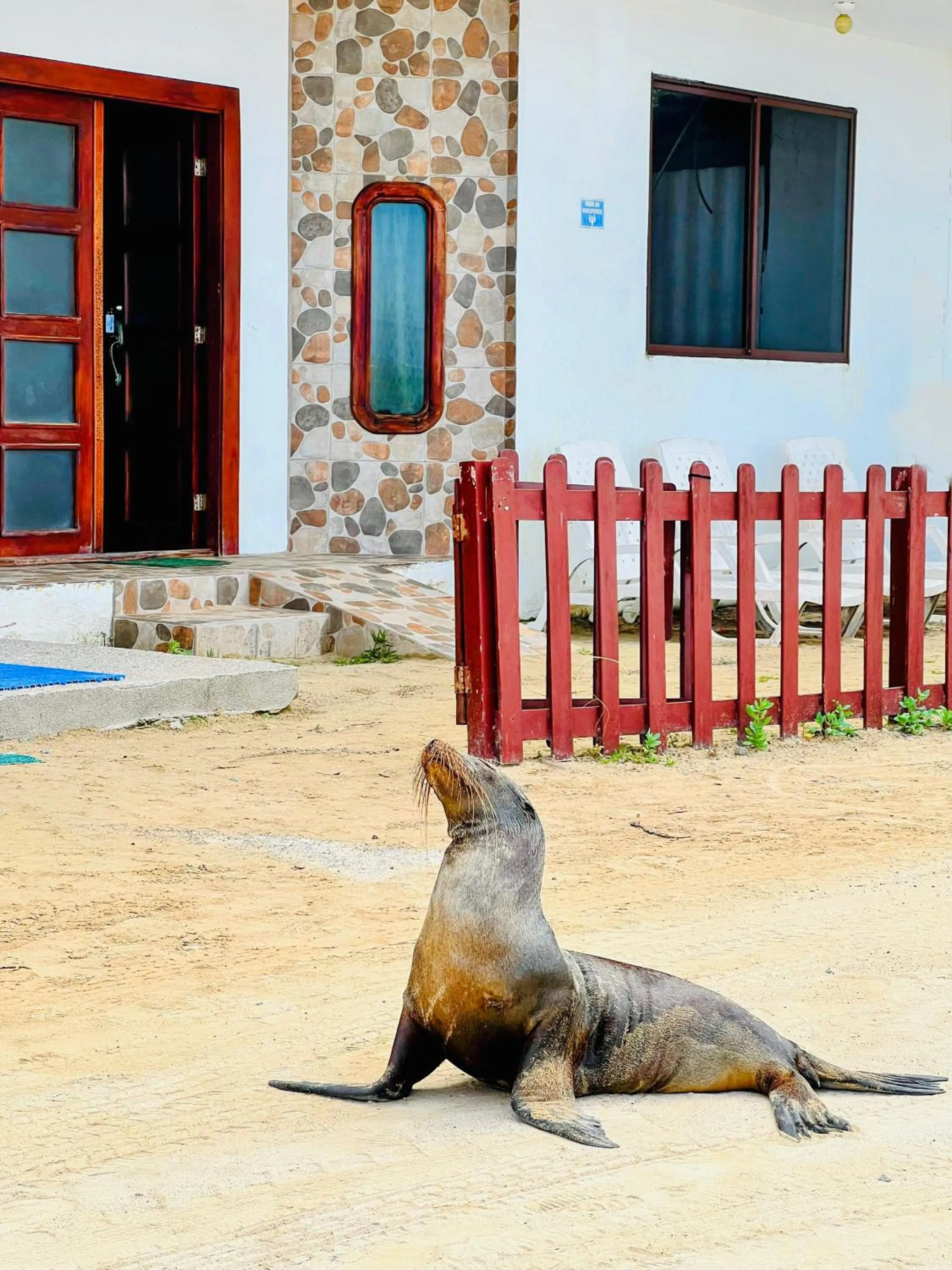 Property building in Hotel Sierra Negra