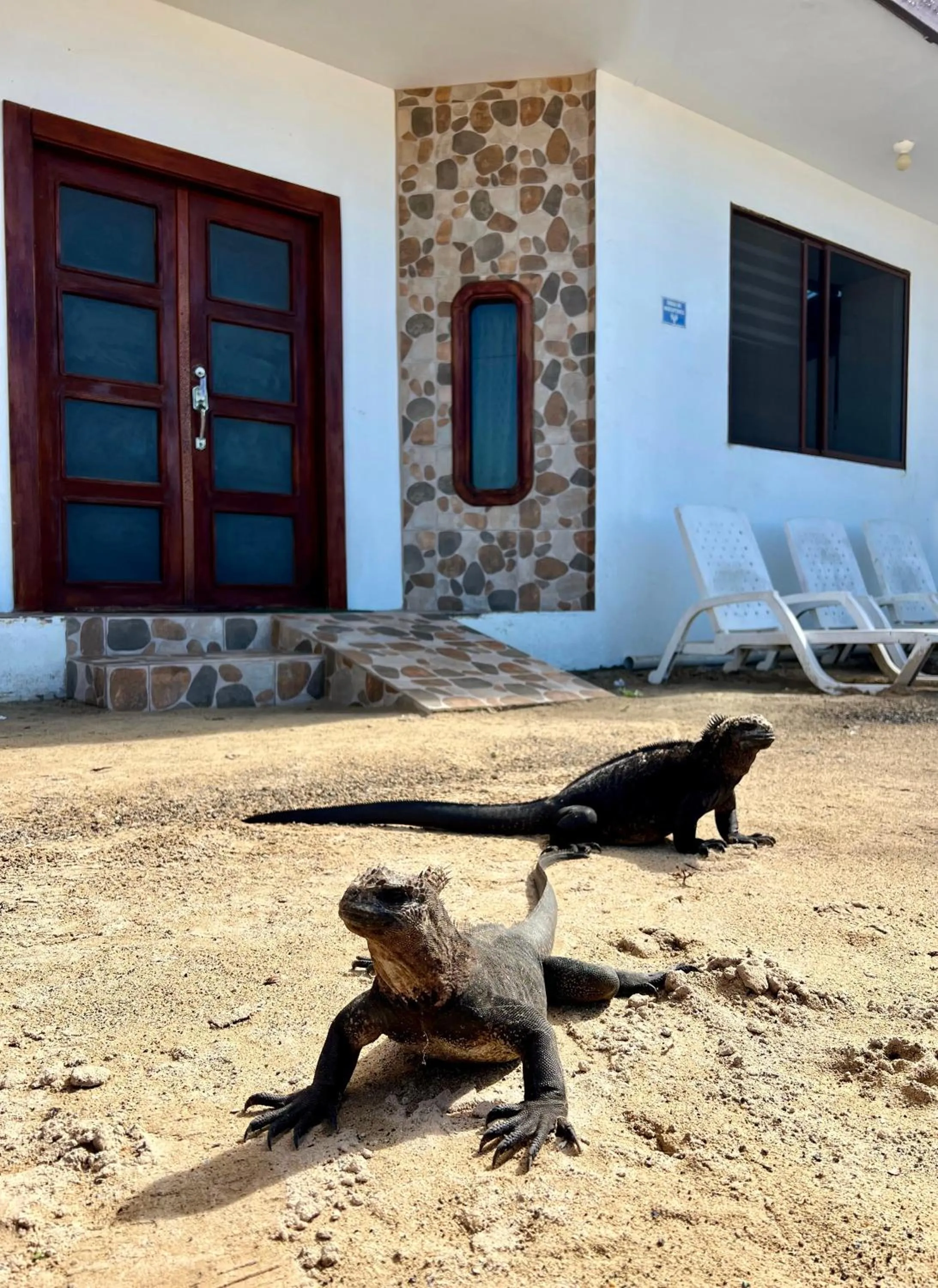 Property building in Hotel Sierra Negra