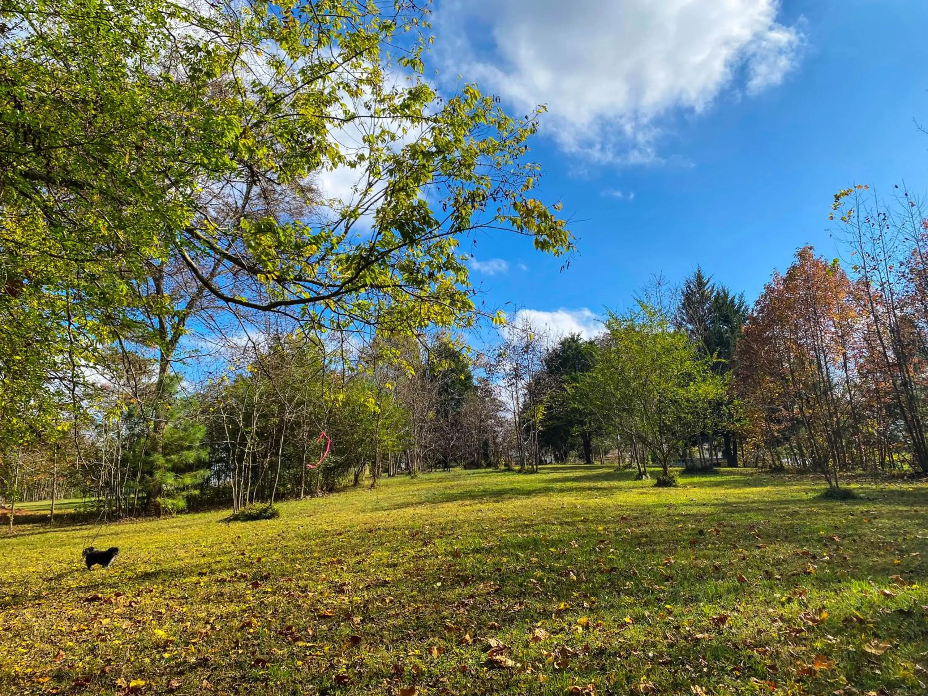 Natural landscape in Vaiden Inn