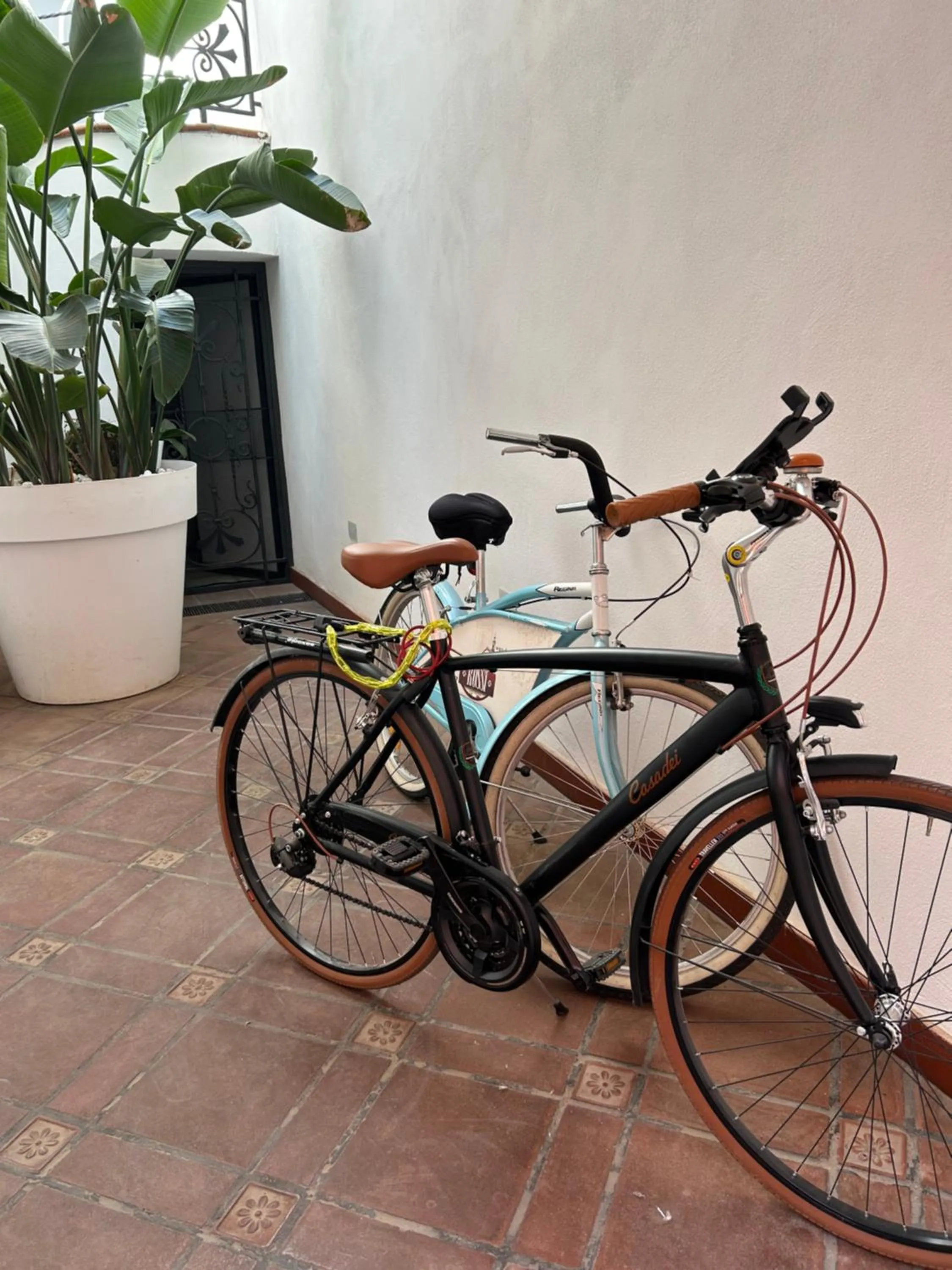 Cycling in ALBERGO DIFFUSO Dimora Rossi Charme B&B
