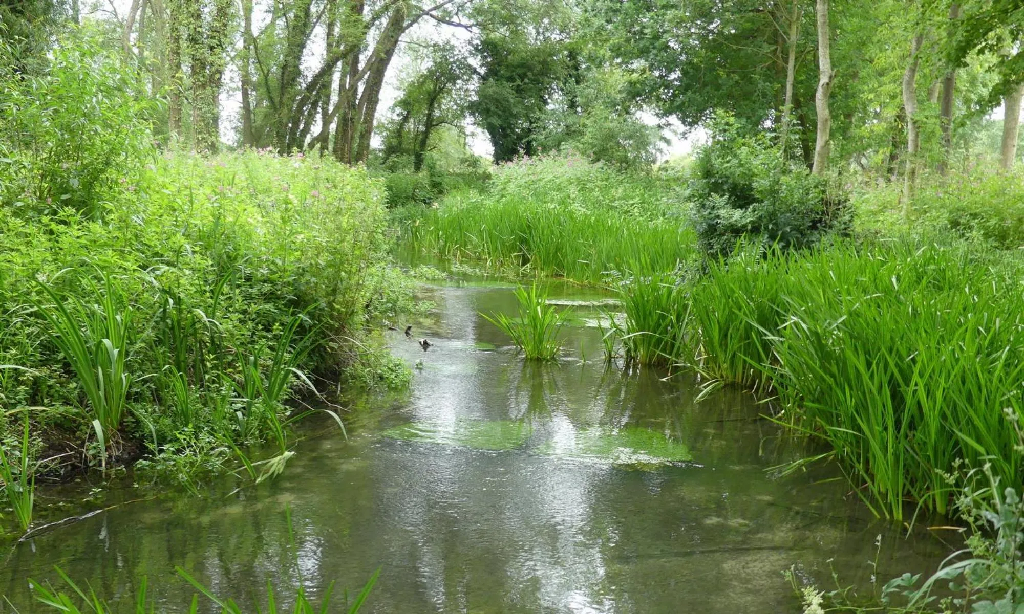 Fishing in The Crown at Shipton