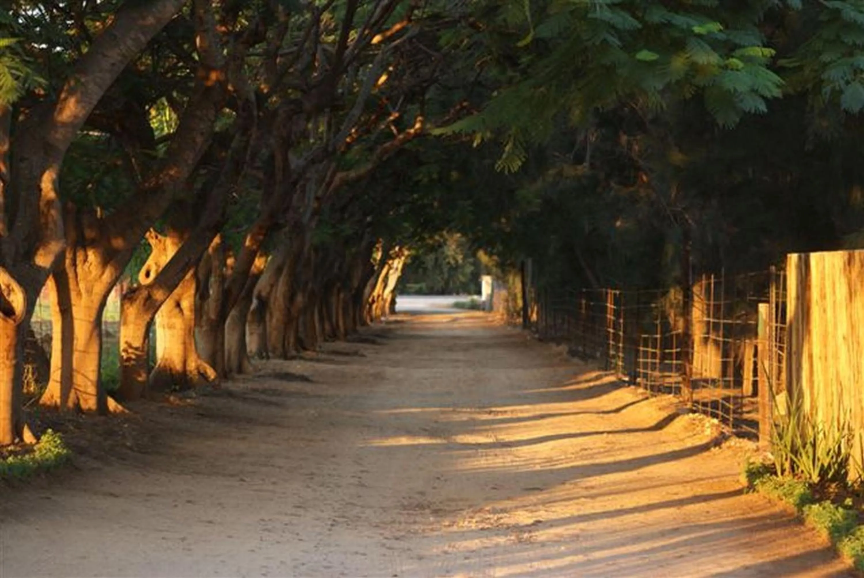 Facade/entrance in Blyde Mountain Country House