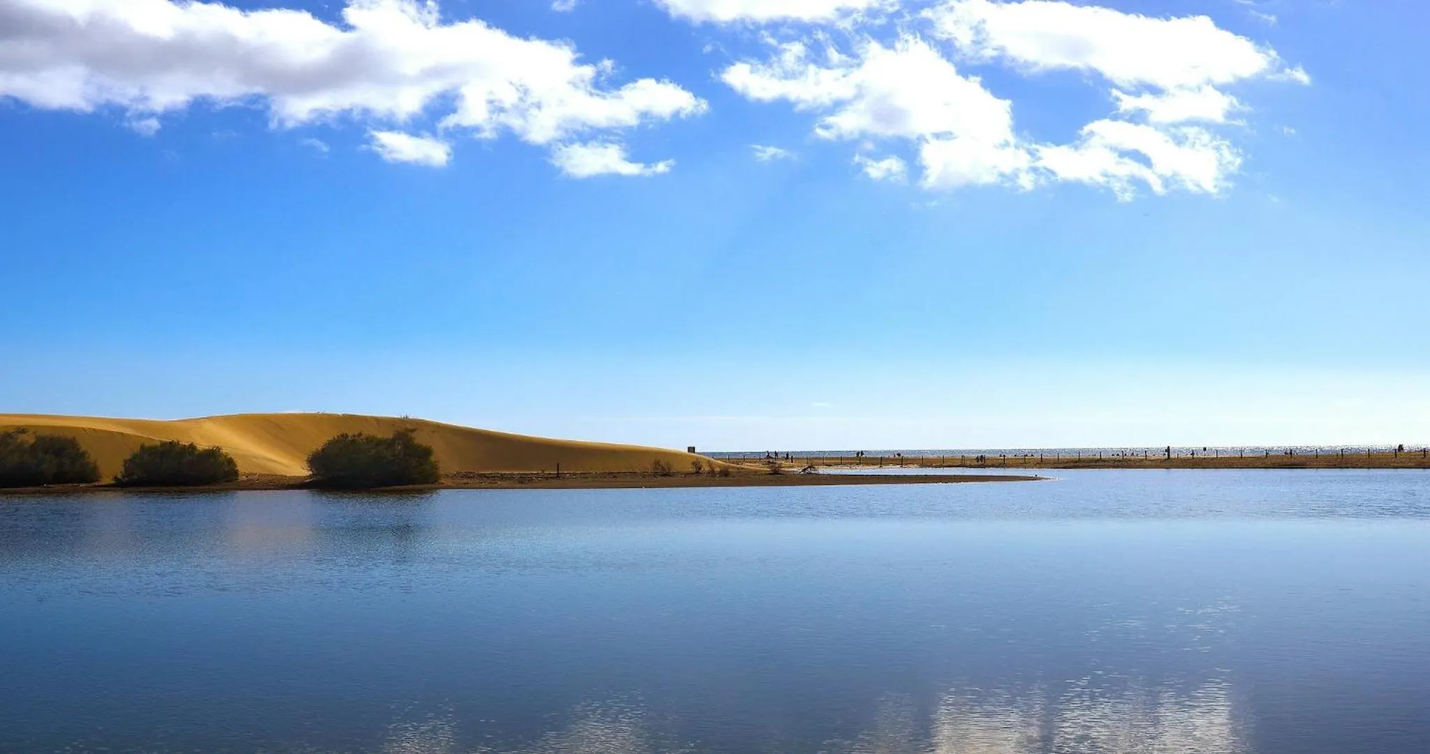 Natural landscape in Dunaoasis Maspalomas