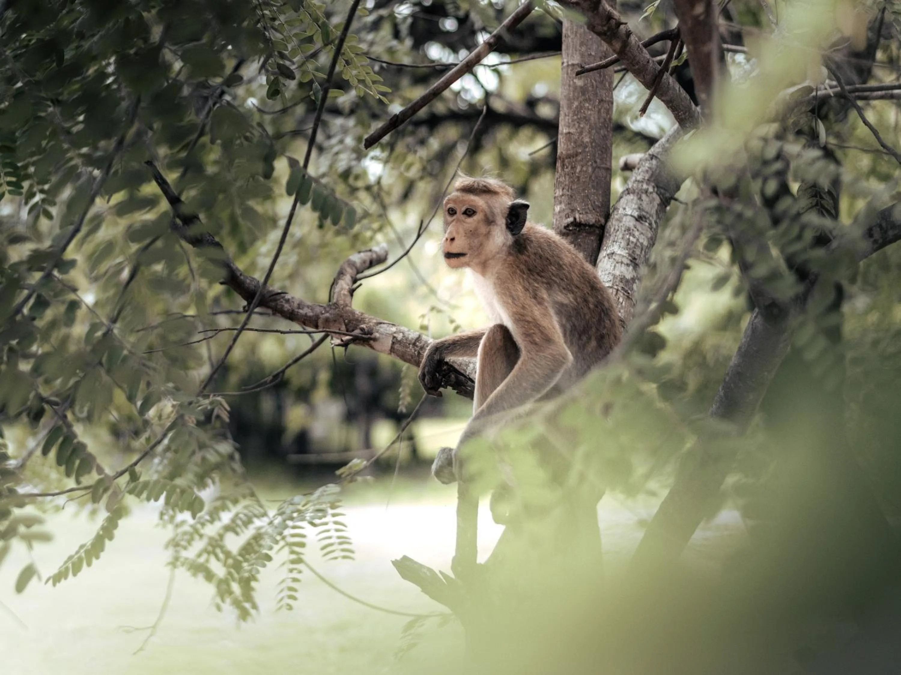 Activities in Sun Siyam Pasikudah