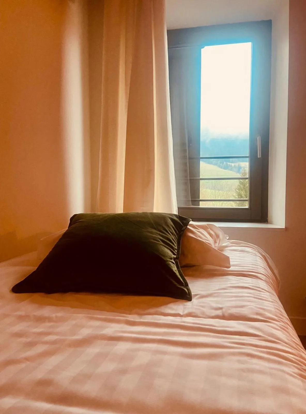 Bedroom, Bed in Restaurant Hôtel du Vercors