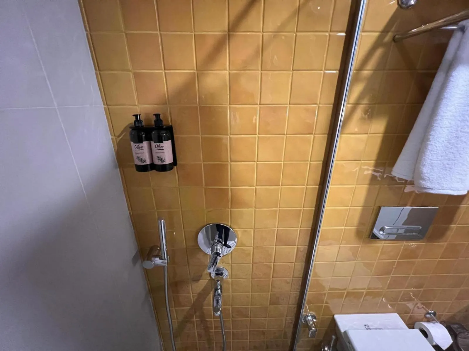 Shower in Weingart Suites Hotel