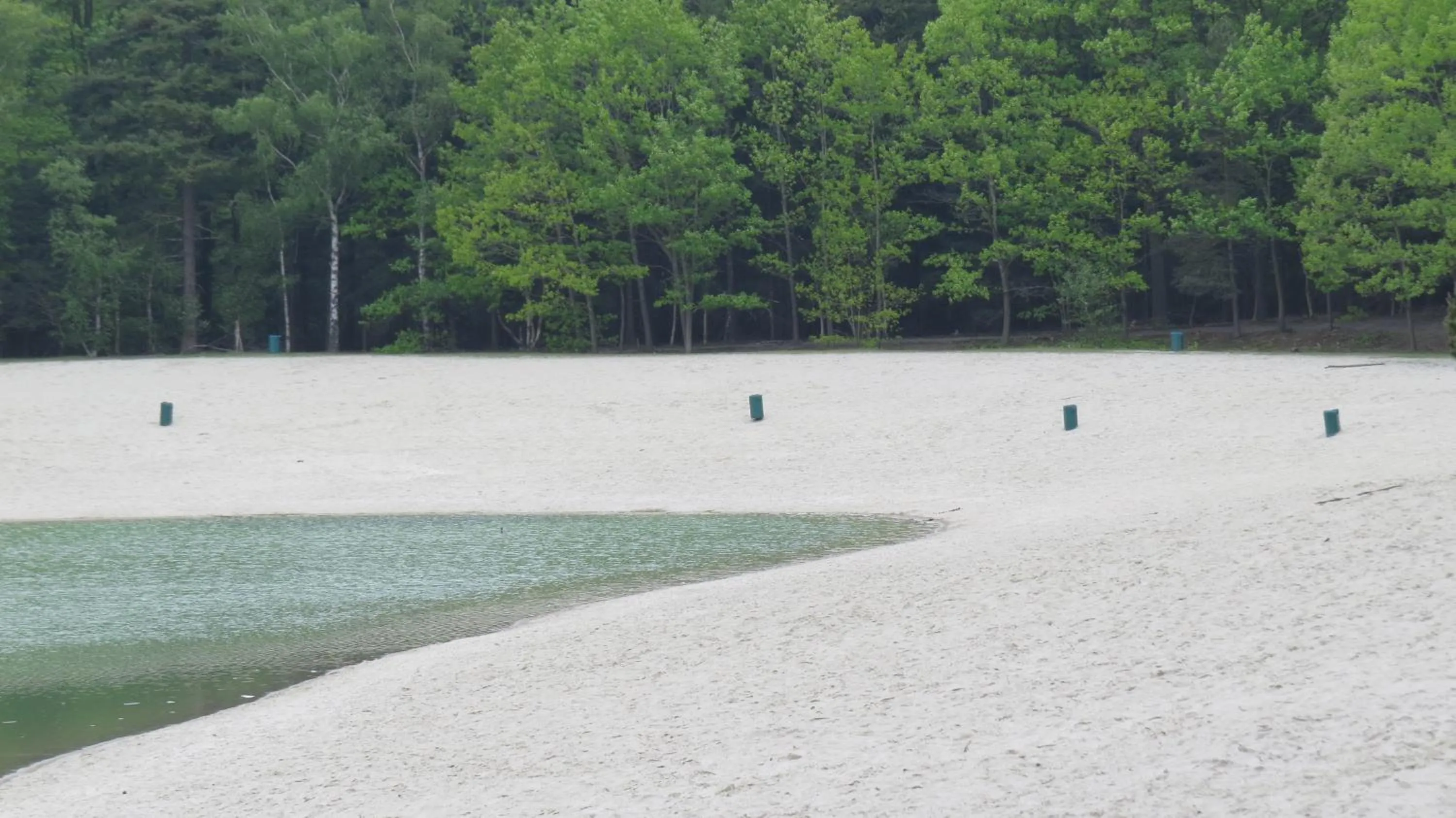 Natural landscape in 't Zwanemeer